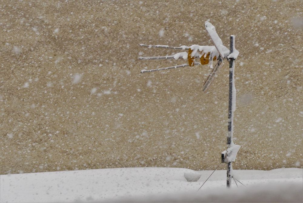 Πετρούπολη