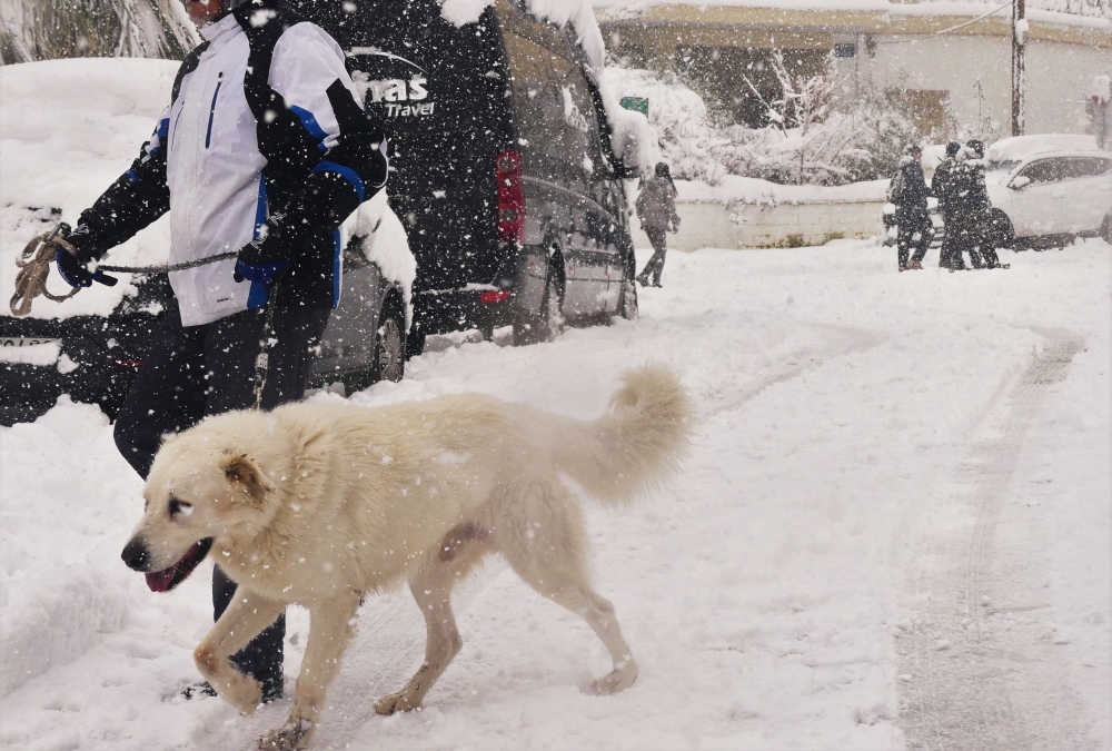 Πετρούπολη