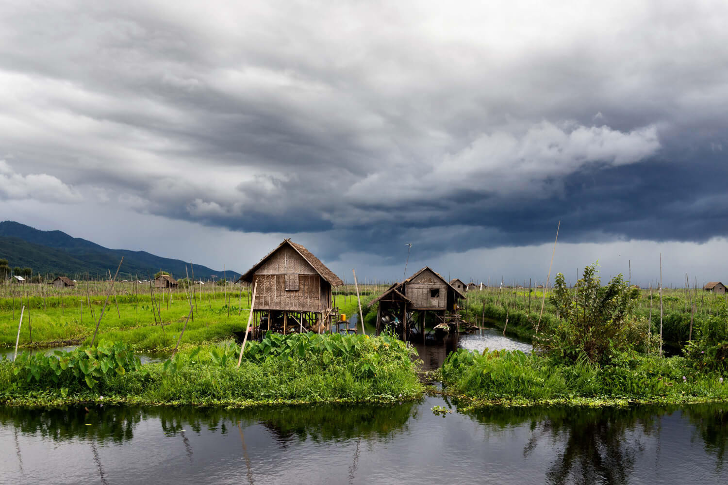 Μιανμάρ, Annie Grossinger