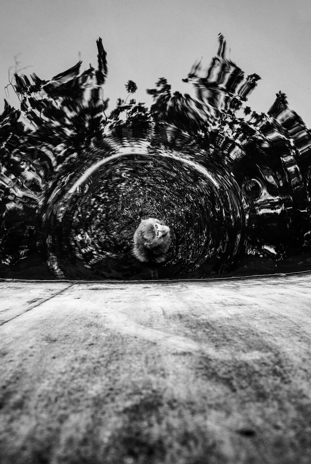 Μιανμάρ, Françoise Holtzmacher 