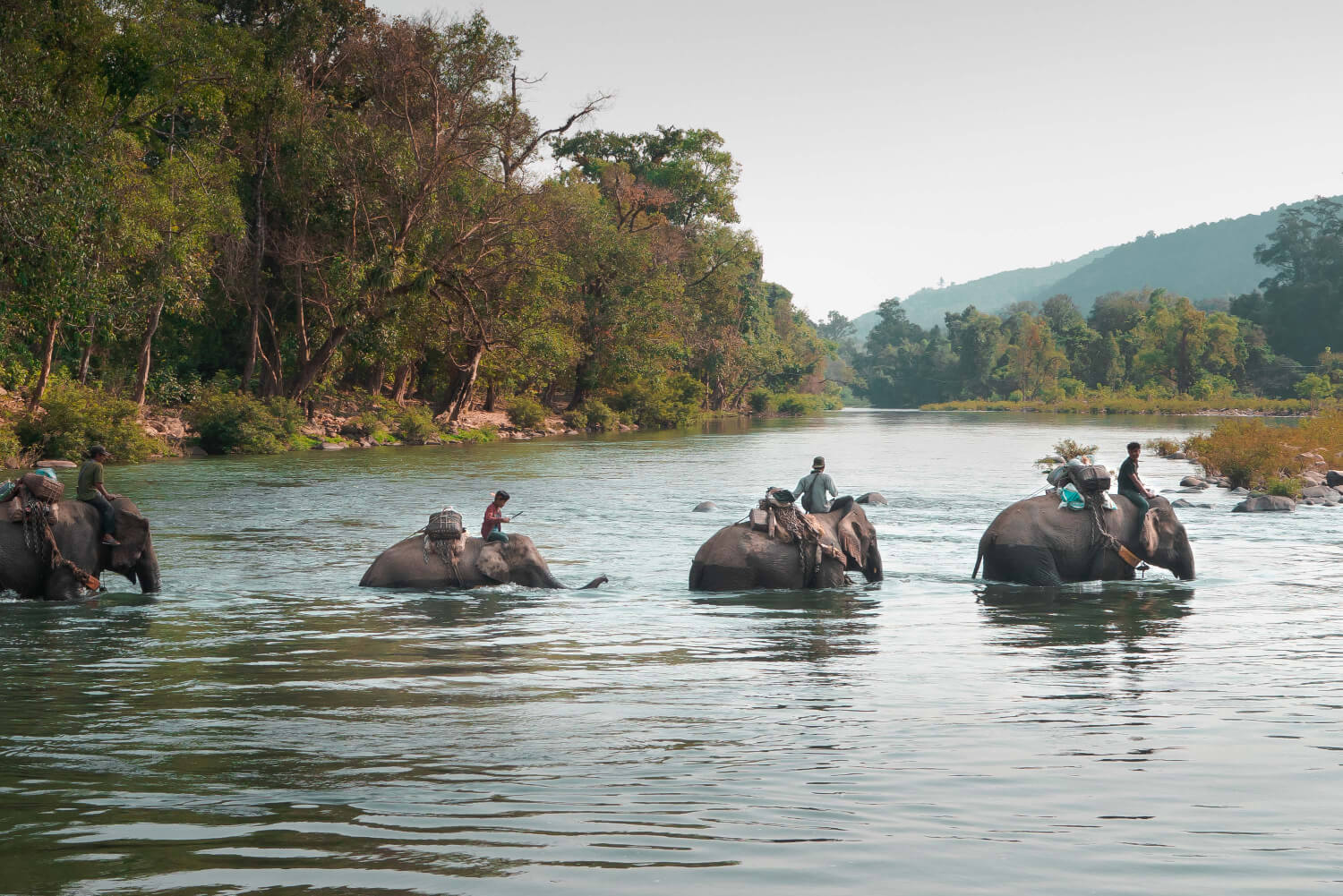 Μιανμάρ, Matias Bercovich 
