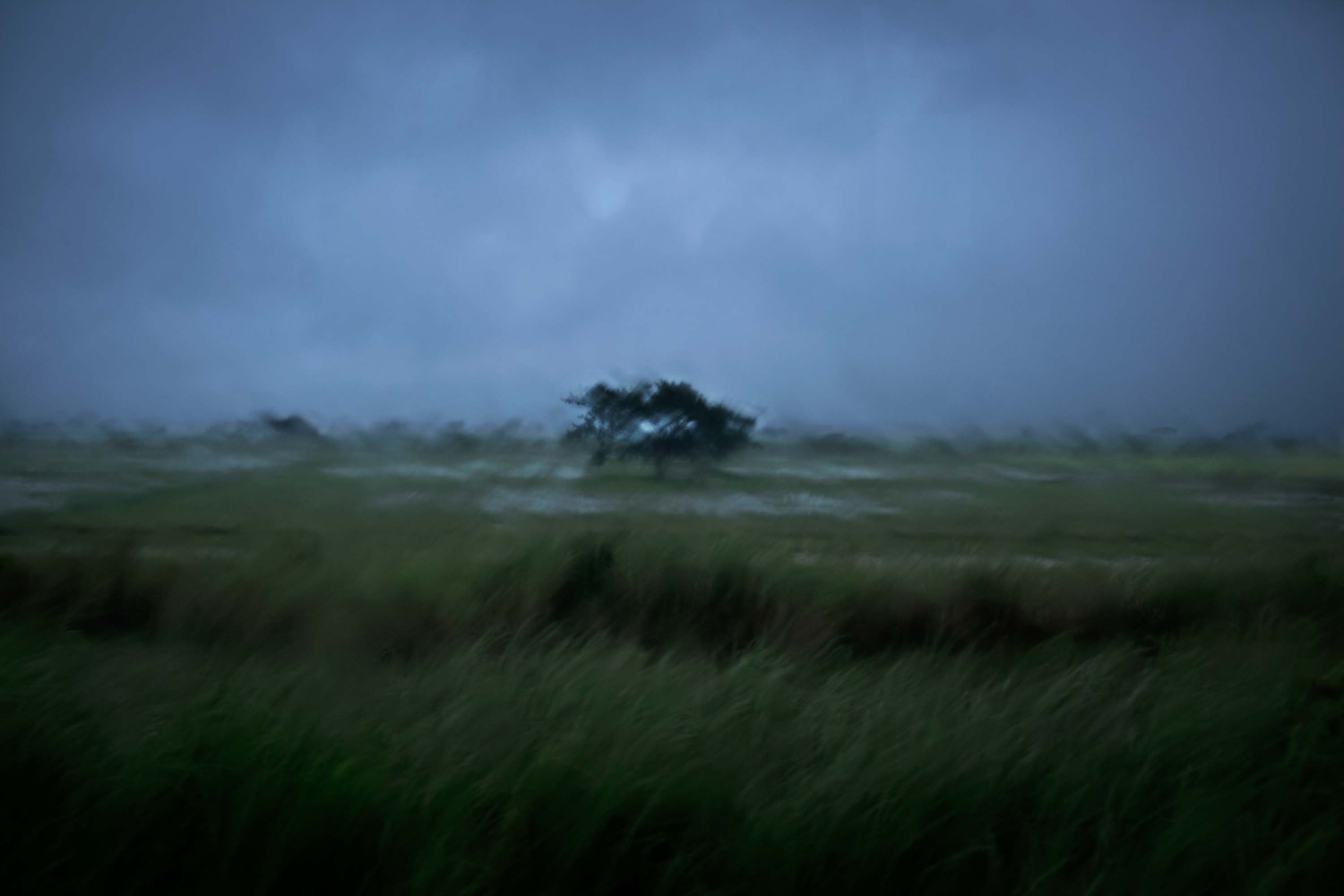 Μιανμάρ, Patrick Brown 