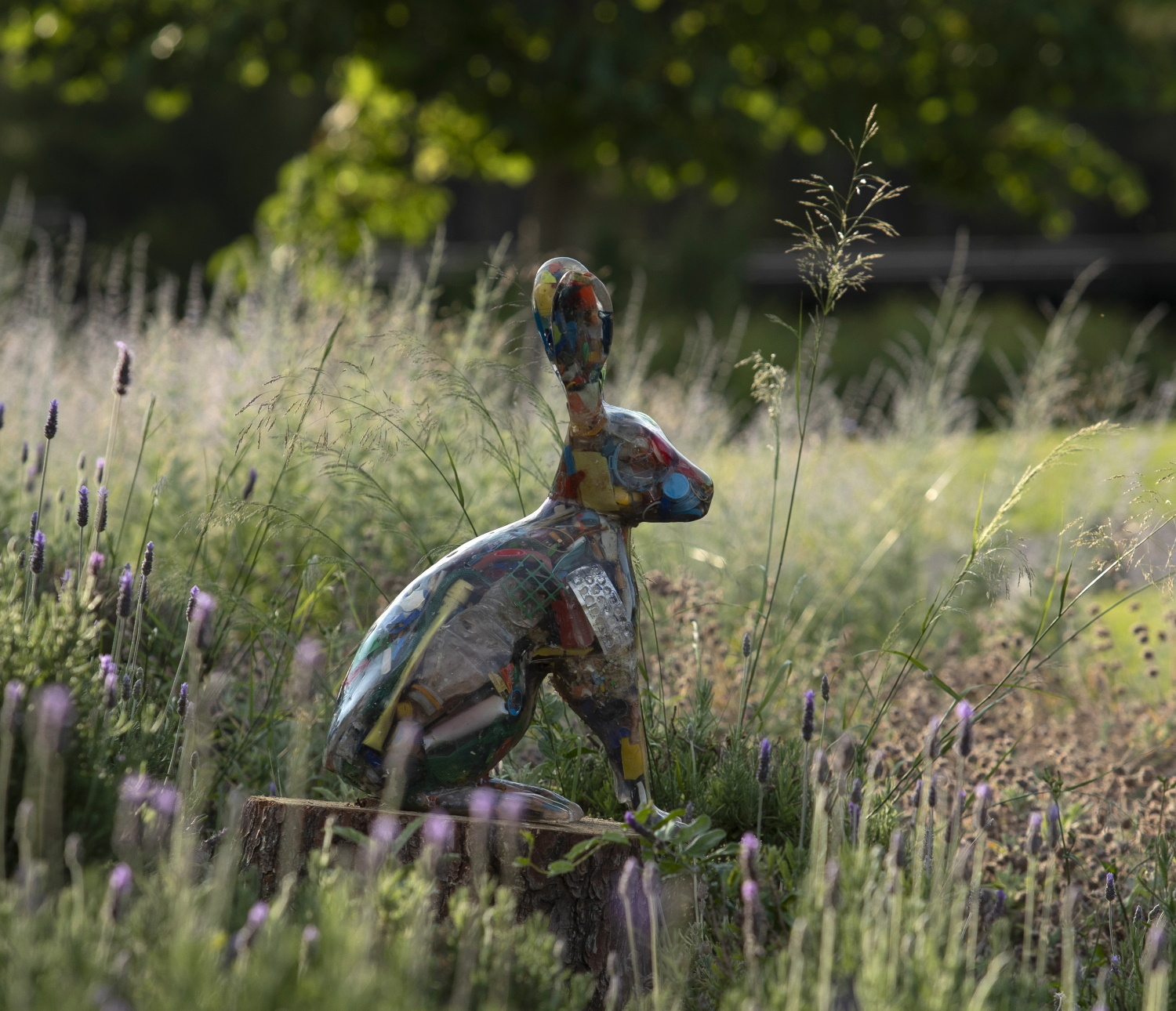 Δημήτρης Λιόσης και Harrison Lambert 