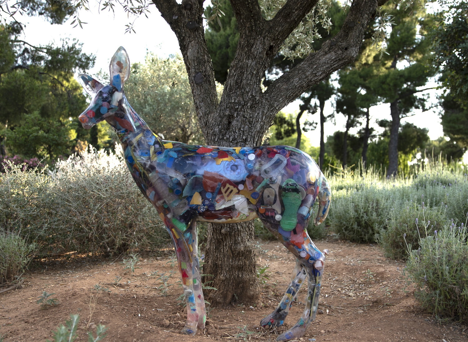 Δημήτρης Λιόσης και Harrison Lambert 