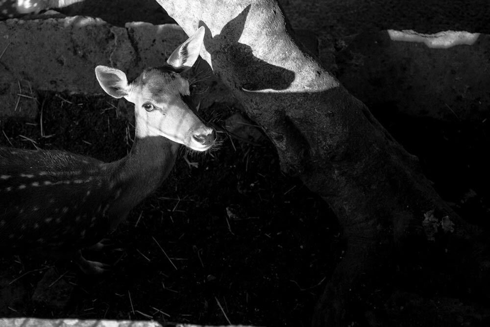 Στο Ξωτικό wine&deli στον Τριαντάρο παρουσιάζεται η έκθεση φωτογραφίας «Tinos, Shaped by the Wind»