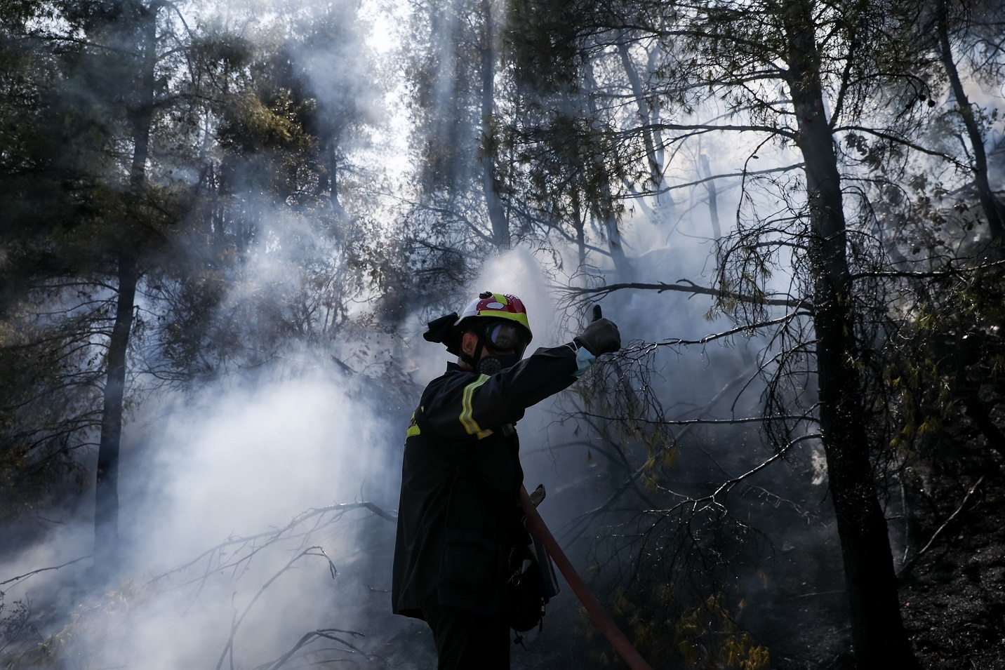 Πυρκαγιά στο Μαντούδι Εύβοιας, Παρασκευή 6 Αυγούστου 2021