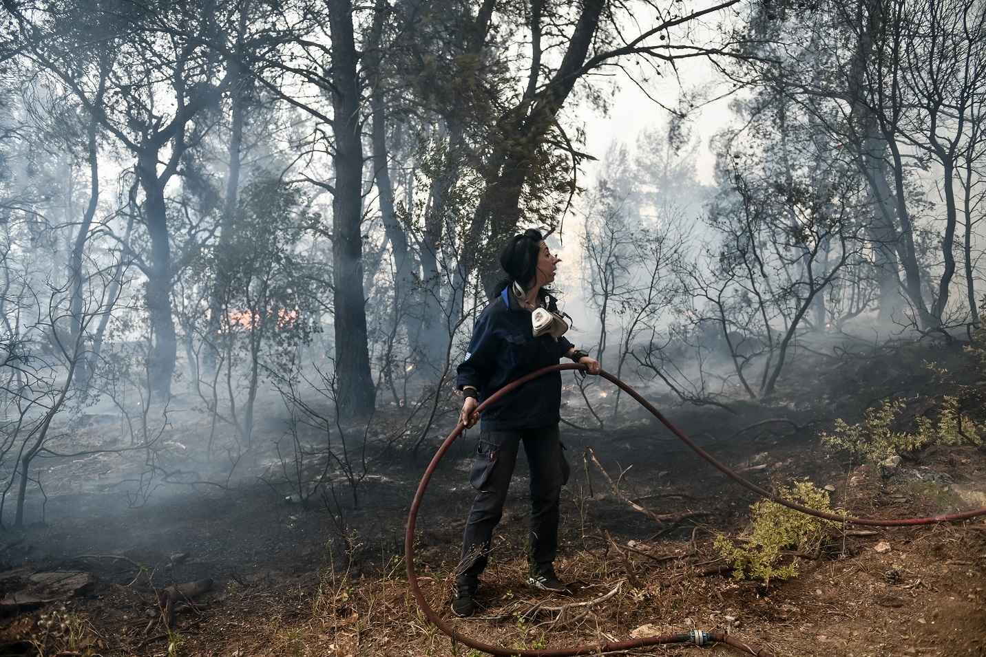 Πυρκαγιά στη Βορειοανατολική Αττική, Παρασκευή 6 Αυγούστου 2021. Στιγμιότυπο από τις Αφίδνες