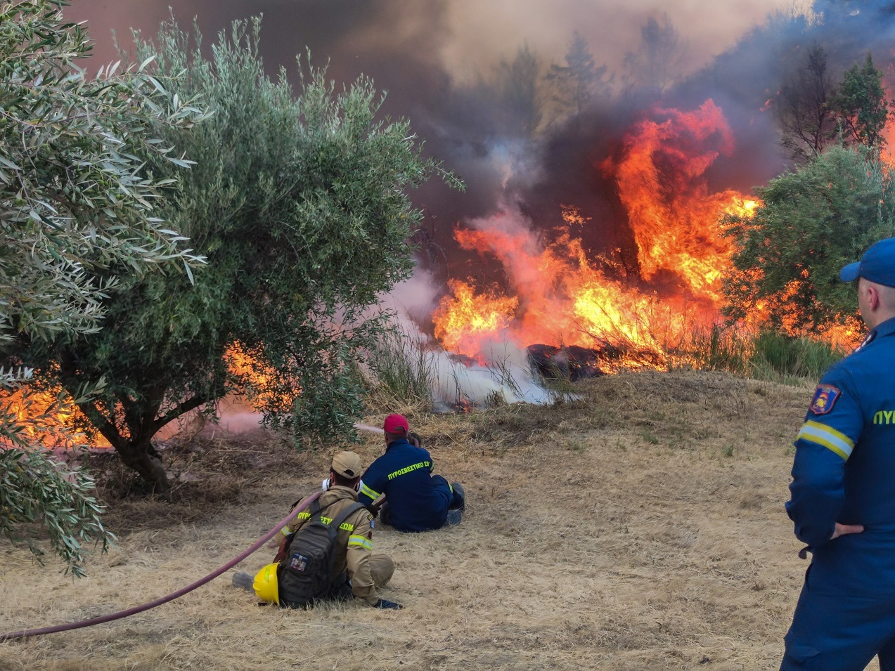 Πυρκαγιά στο Χελιδόνι Ηλείας, Πέμπτη 5 Αυγούστου 2021