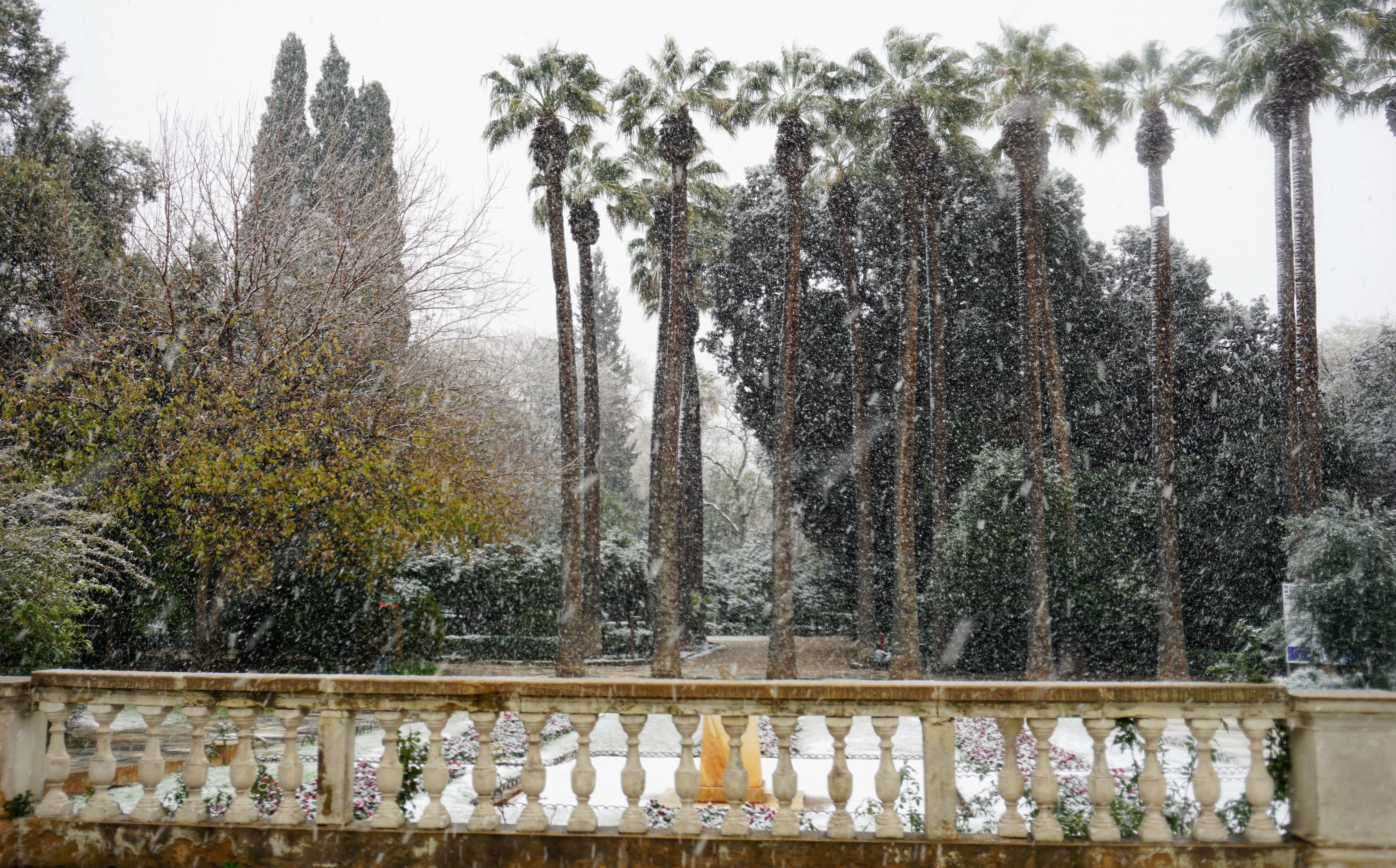 Εθνικός Κήπος.