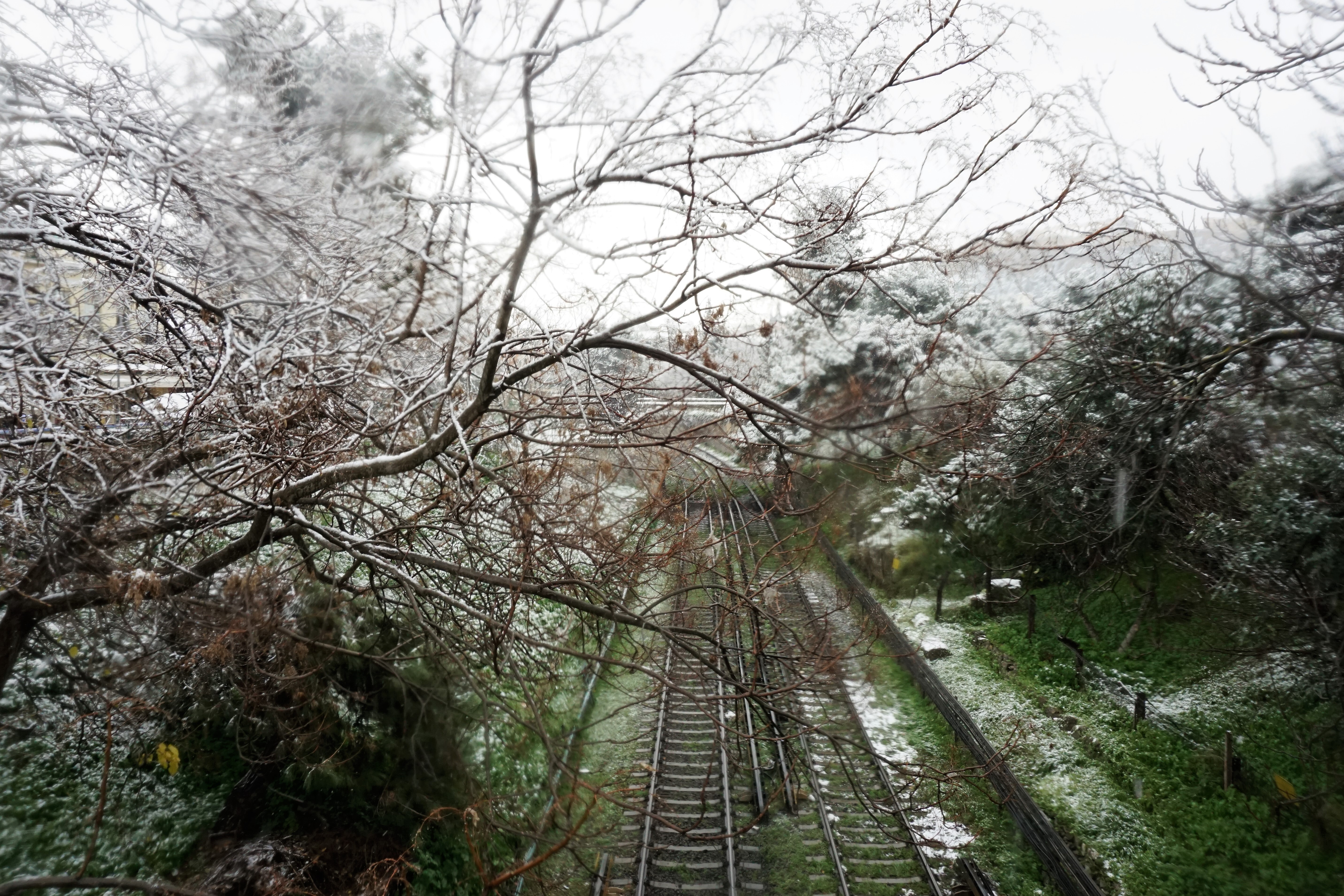 Οι ράγες του ηλεκτρικού.