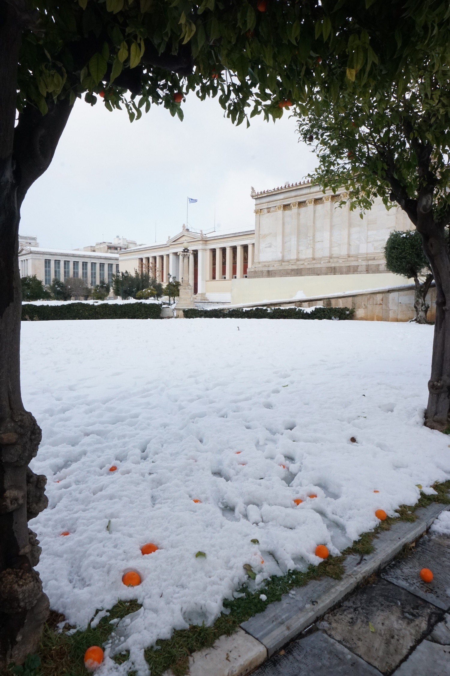 Στιγμιότυπο από την Πανεπιστημίου.