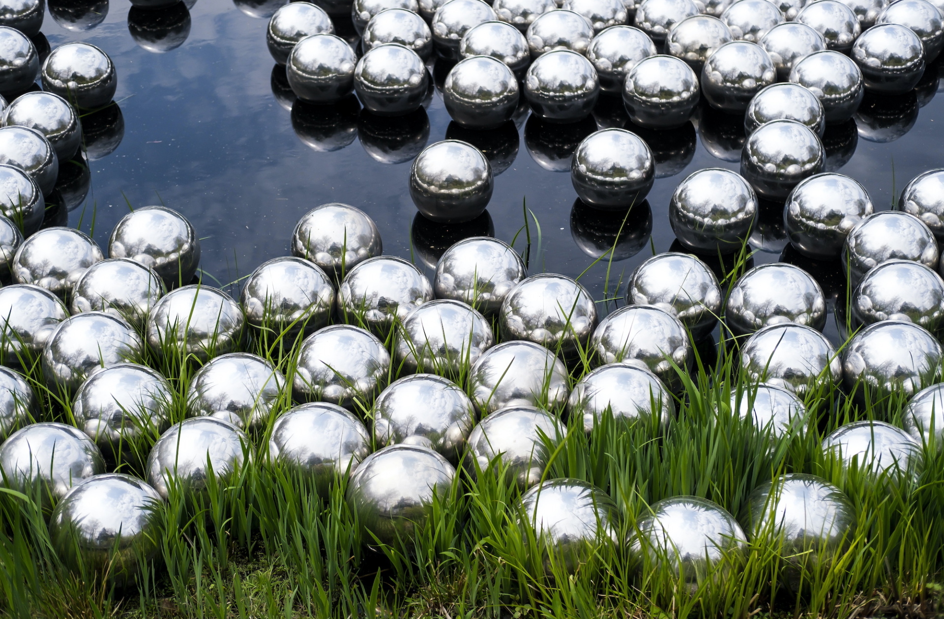 Η εγκατάσταση Narcissus Garden στον Βοτανικό Κήπο της Νέας Υόρκης