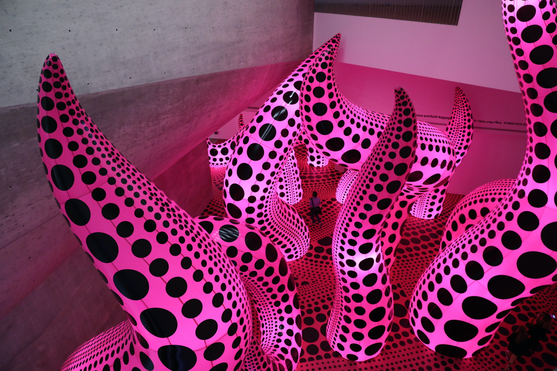 Yayoi Kusama
