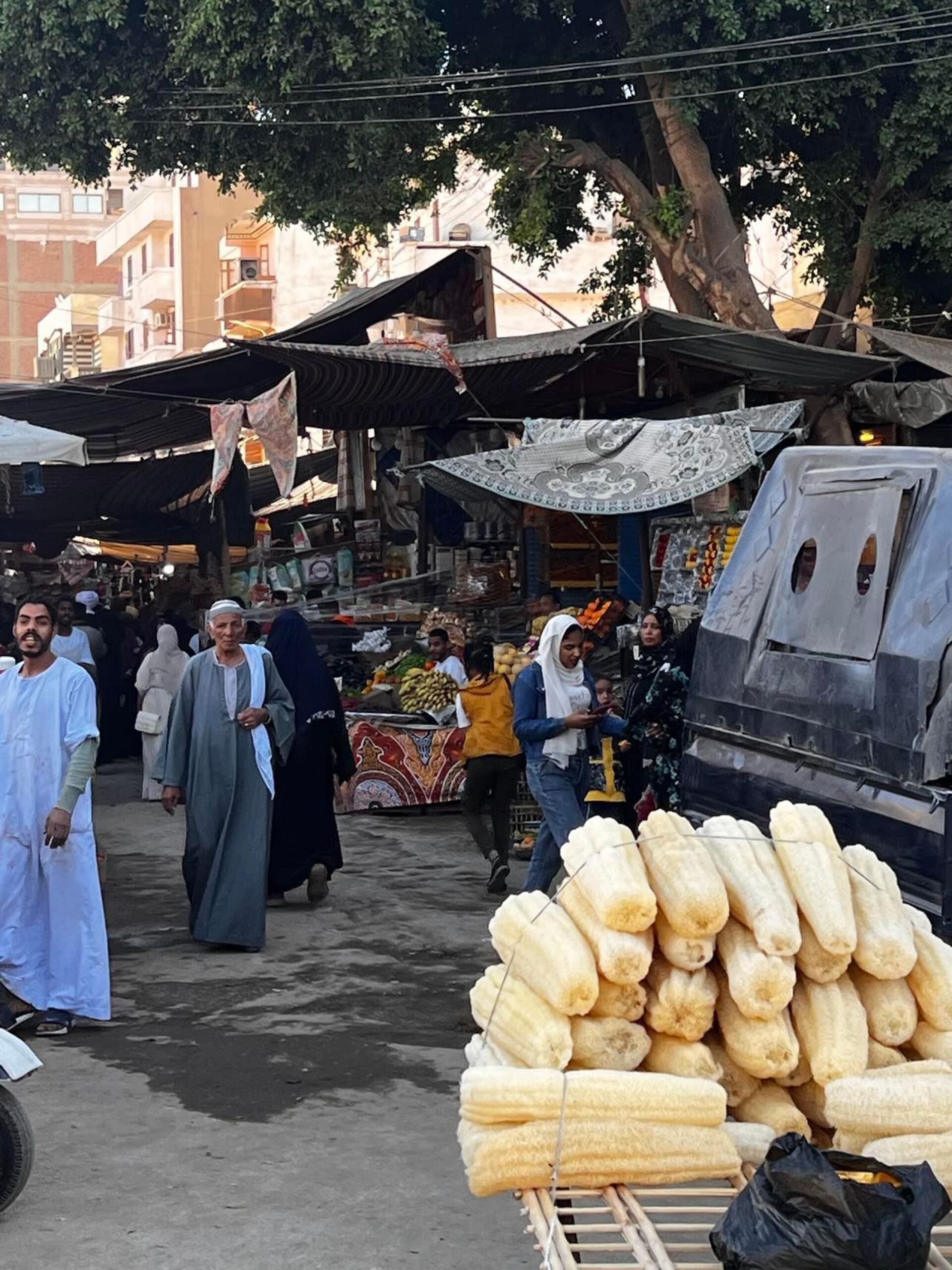 Ταξίδι στην Αίγυπτο