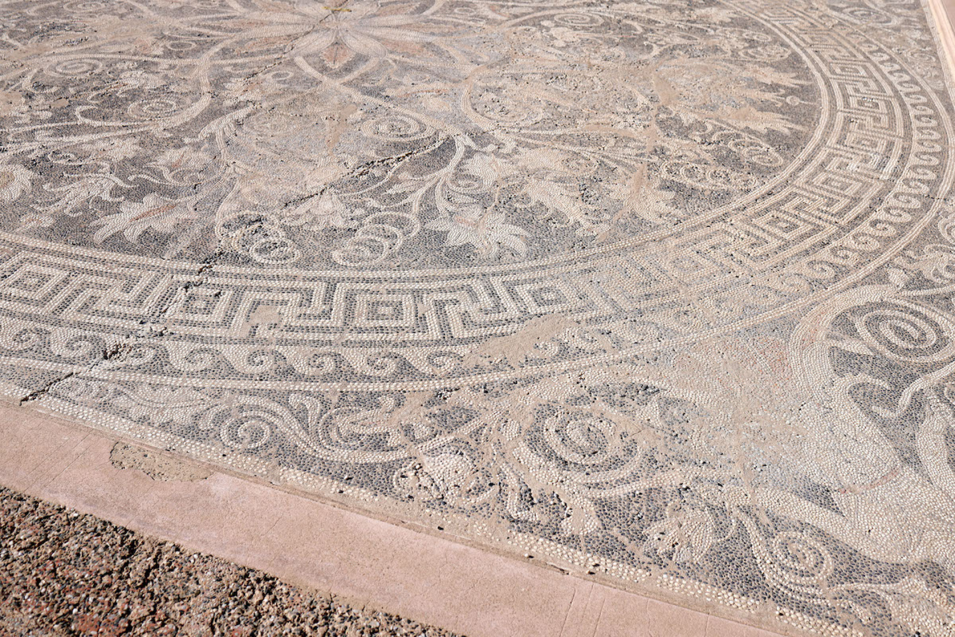 Αγγελική Κοτταρίδη: «Νιώθω τυχερή που μιλάω την ίδια γλώσσα με εκείνον που πίστευε πως ο Ελληνισμός βασίζεται στη διάνοια»