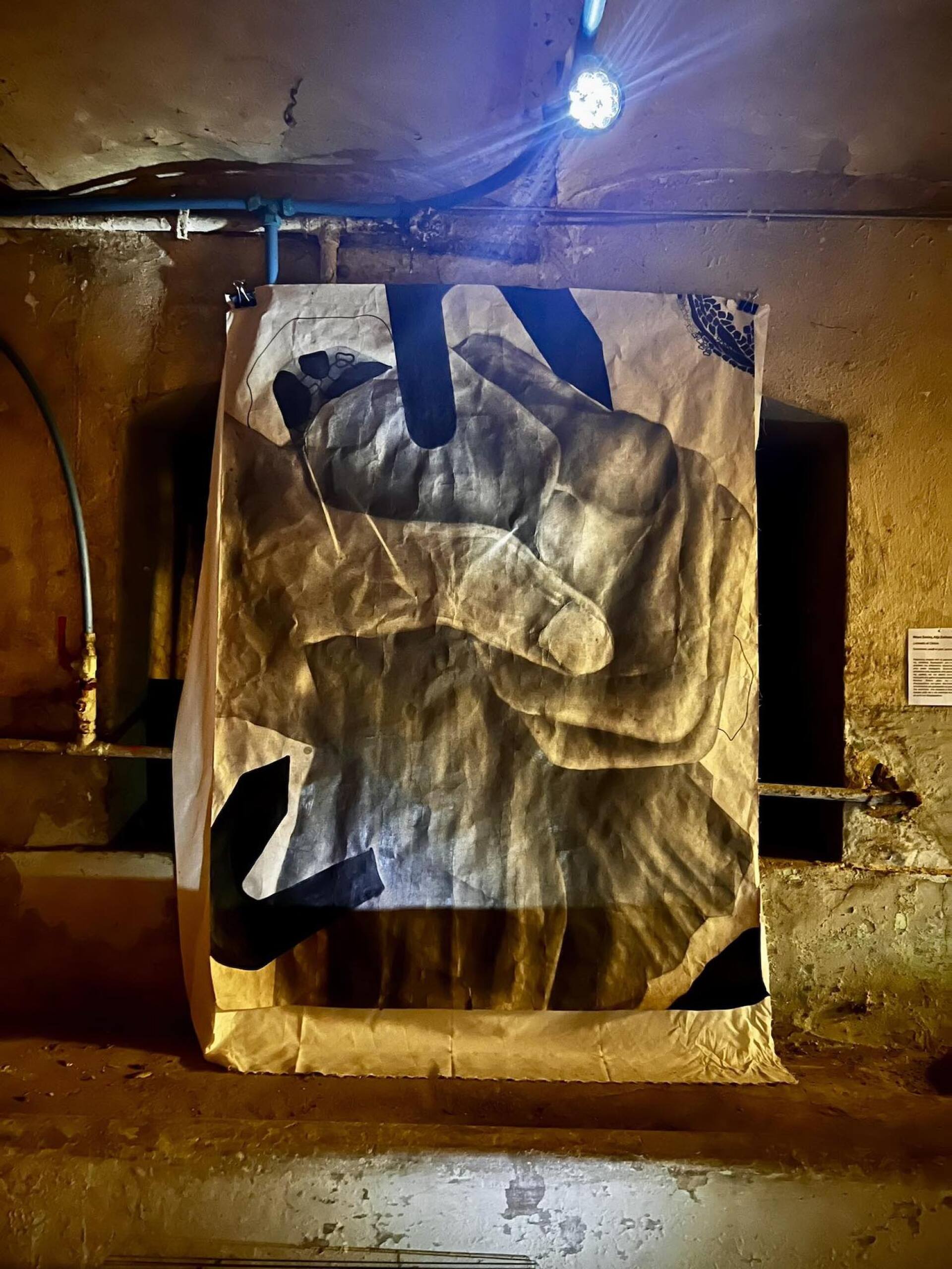 Ζωσιμαία Σχολή Ιωαννίνων: Στα υπόγεια είναι η θέα!