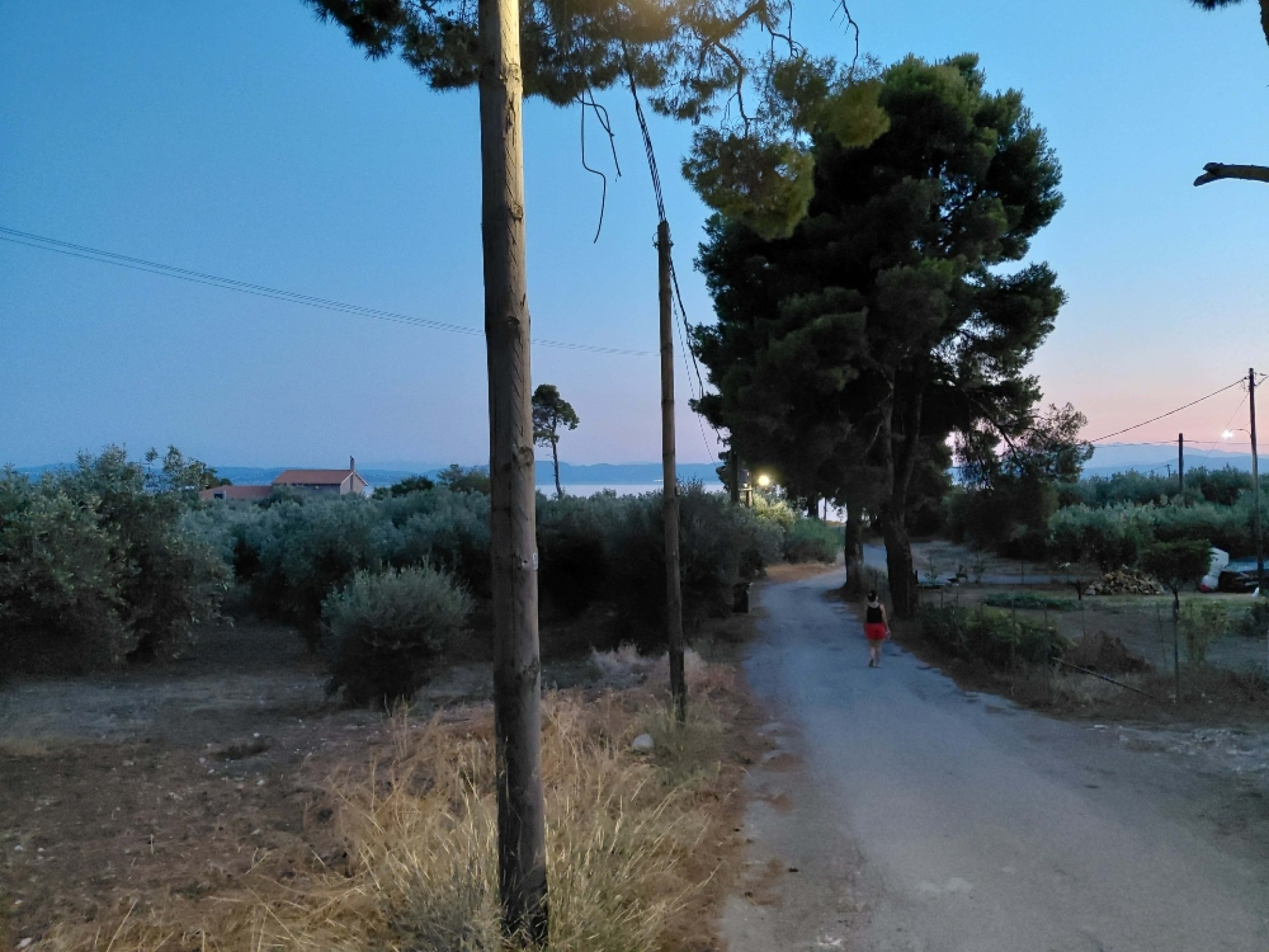 Ροβιές