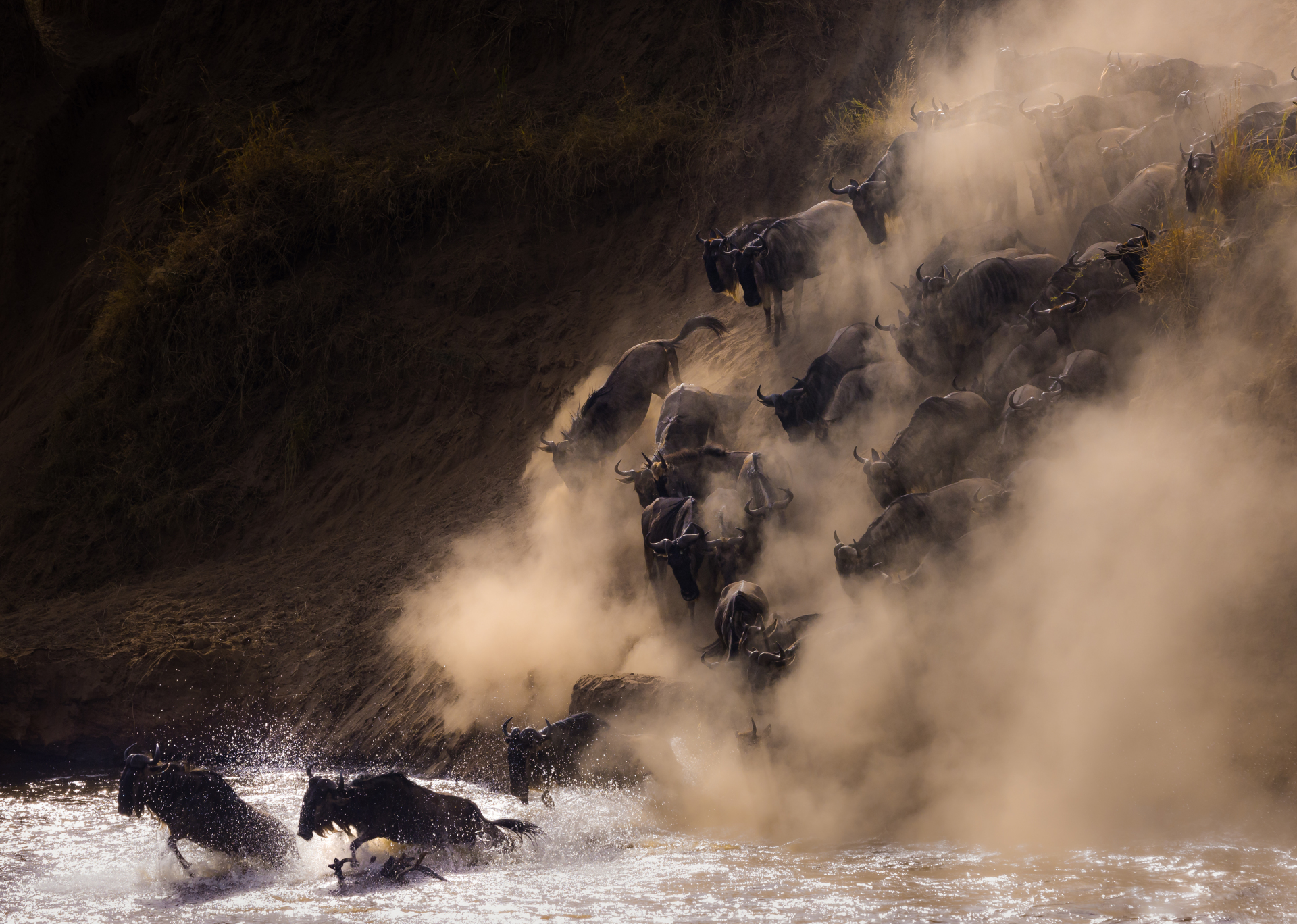 Sony World Photography Awards 2023: Ανακοινώθηκαν οι υποψηφιότητες και οι φιναλίστ στις 10 κατηγορίες του διαγωνισμού - Οι εντυπωσιακότερες εικόνες.