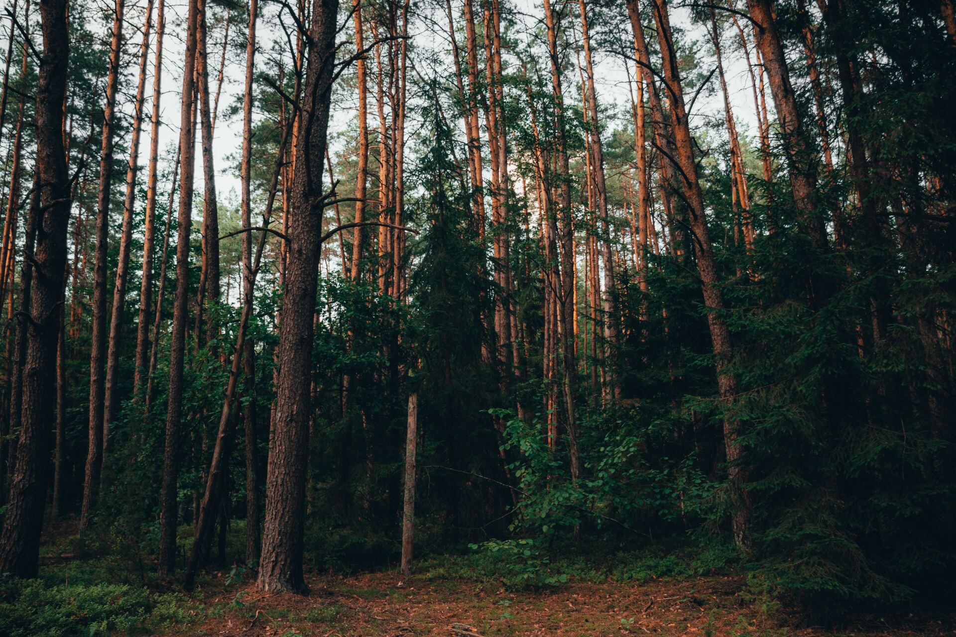 Περιβάλλον