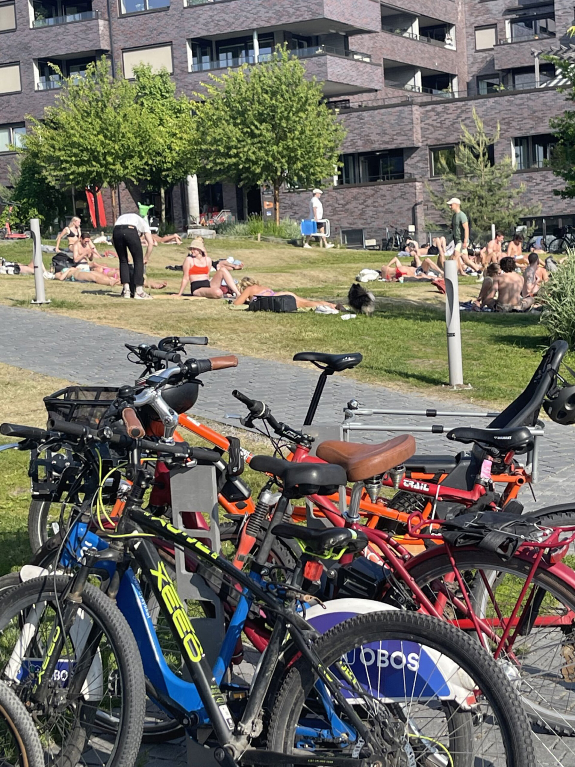 Νέοι στις δημόσιες εγκαταστάσεις της προκυμαίας κατασκευασμένης από ξύλινο deck στο Όσλο