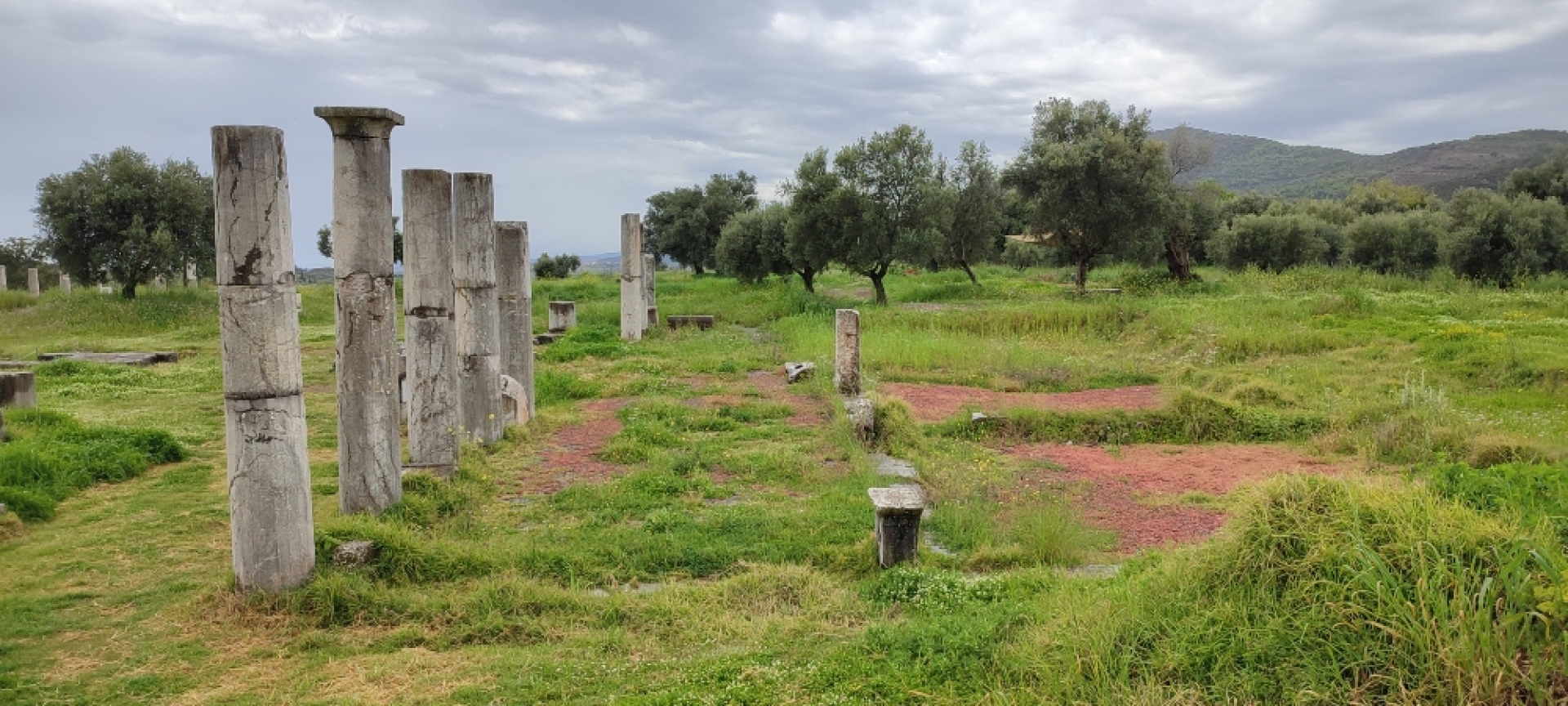 Στην αρχαία Μεσσήνη η φύση και τα μνημεία αποτελούν μια ενότητα, συνυπάρχουν σε ένα οικοσύστημα μαζί με τον ήχο από τα νερά που τρέχουν από κάτω και τα ζώα της περιοχής ©  Δήμητρα Γκρους