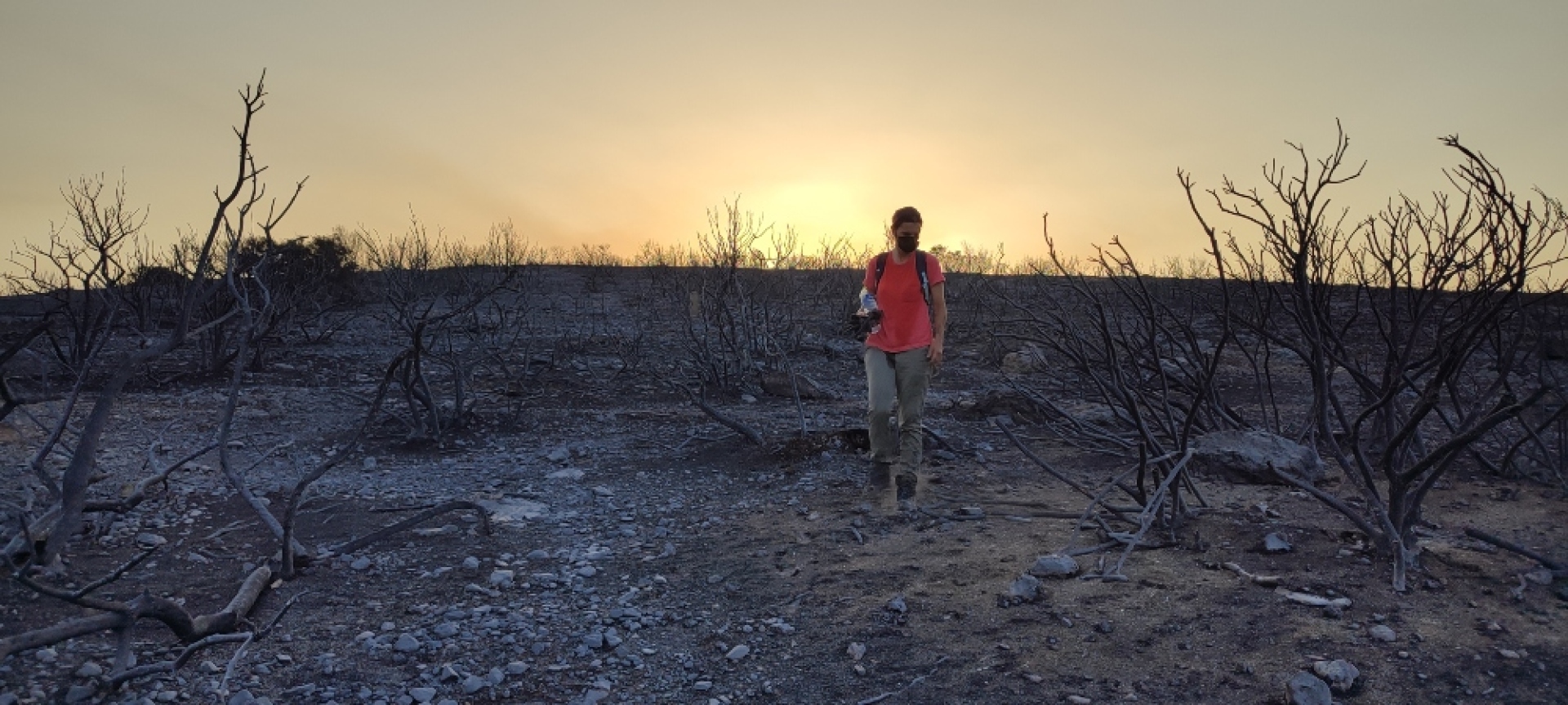 Ψάχνοντας με την Anima και τη Save Your Hood άγρια ζώα στα καμένα στον Όλυμπο Αναβύσσου 