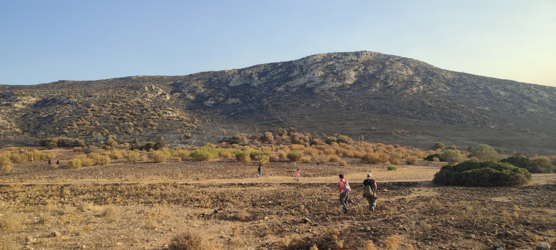 Μπαίνοντας στα καμένα σε πλημμυρίζει η μυρωδιά του καμένου και η απελπισία για όλη αυτή την καταστροφή
