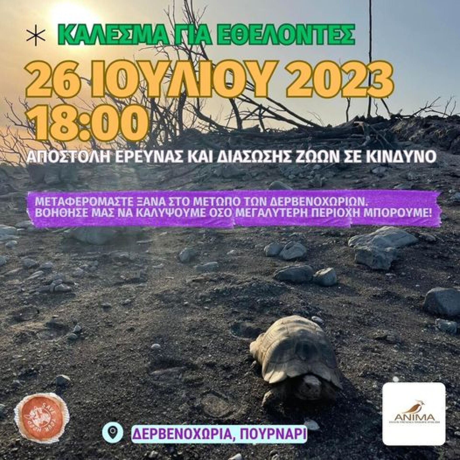 Ψάχνοντας με την Anima και τη Save Your Hood άγρια ζώα στα καμένα 