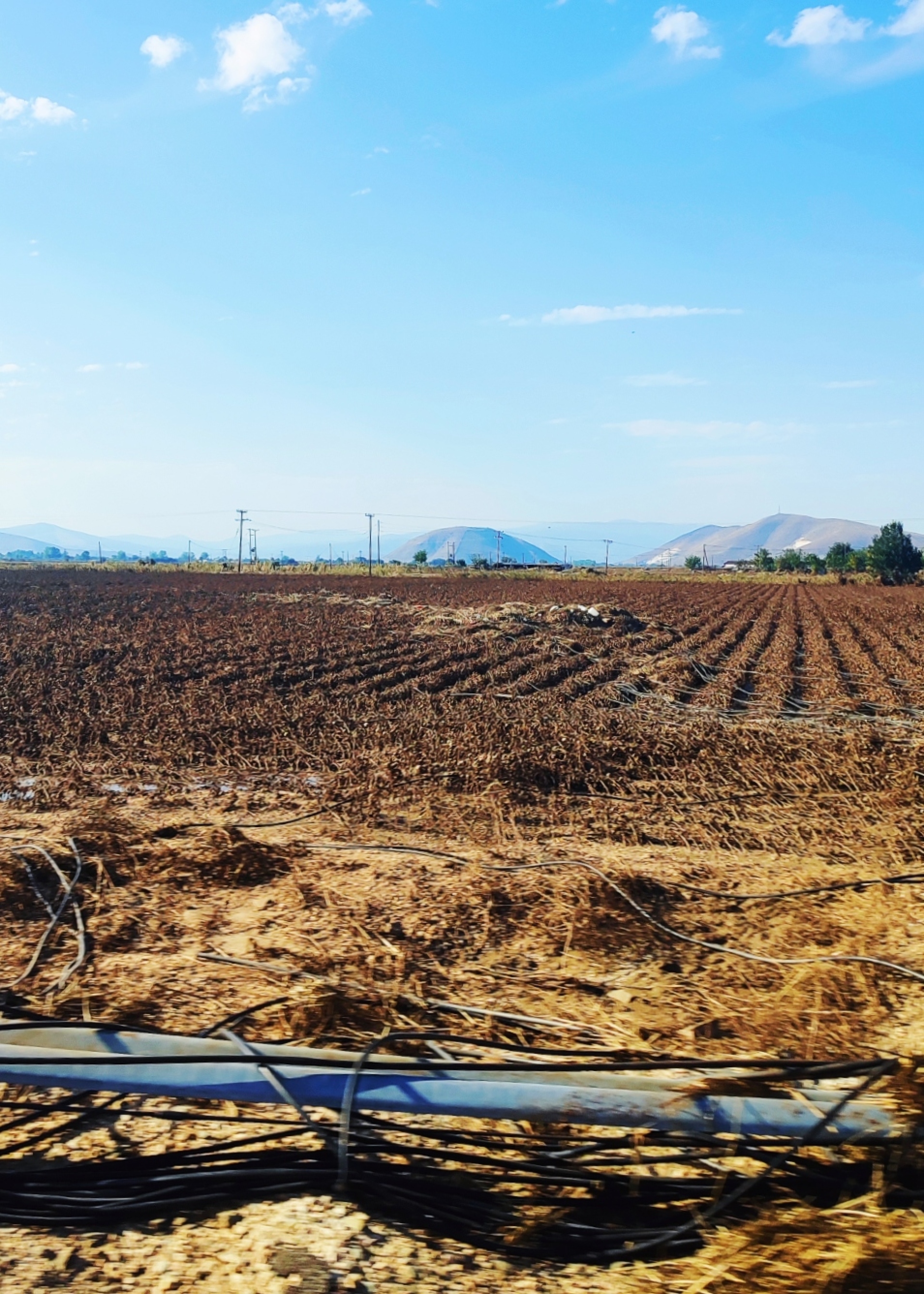 Οδοιπορικό στον Θεσσαλικό Κάμπο και στα πλημμυρισμένα χωριά της Καρδίτσας