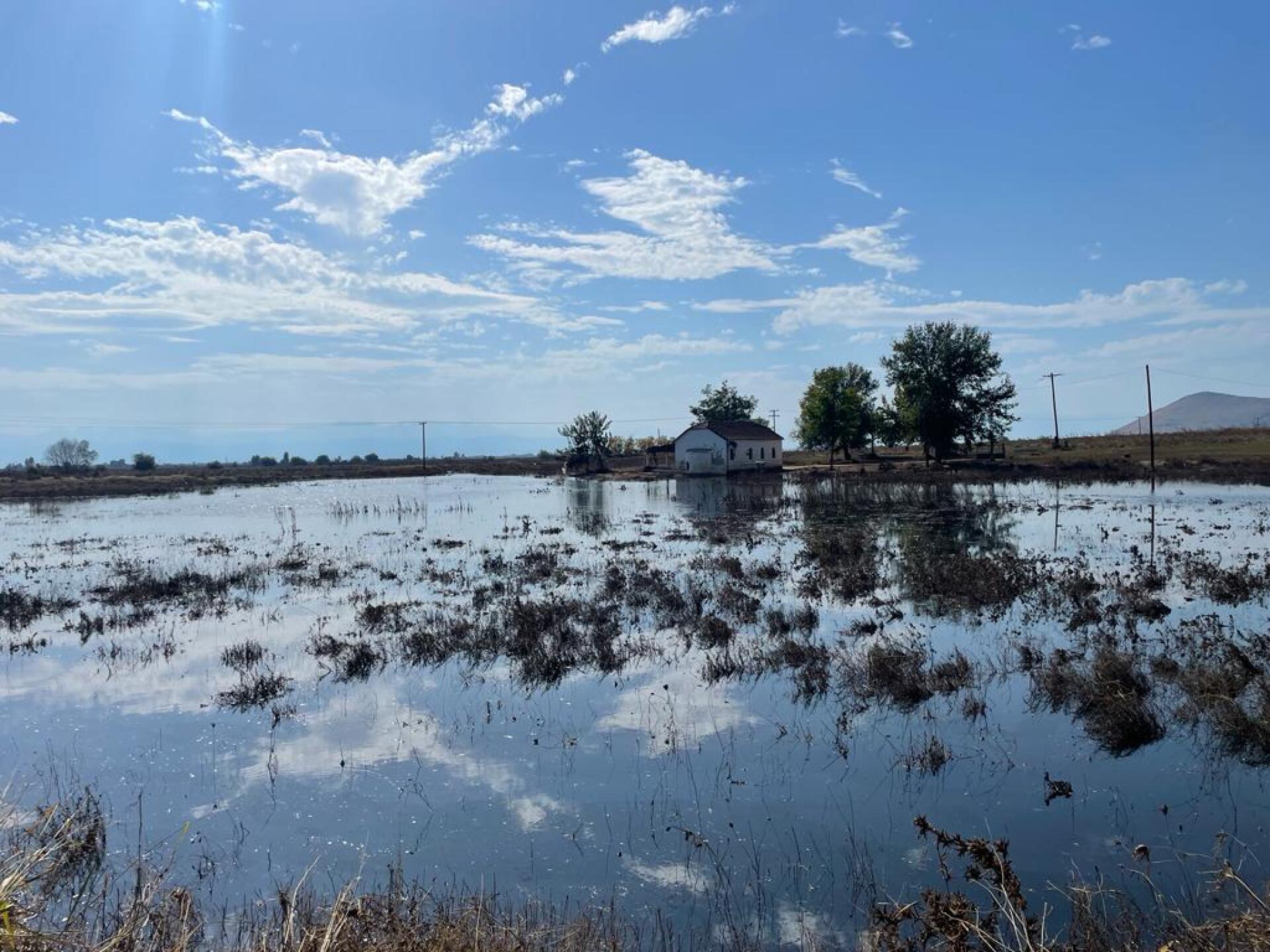 Οδοιπορικό στον Θεσσαλικό Κάμπο και στα πλημμυρισμένα χωριά της Καρδίτσας