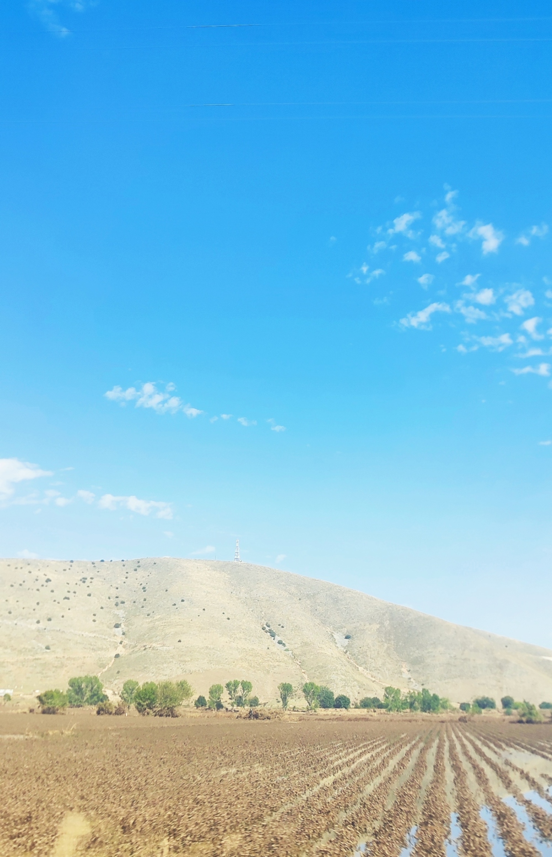 Οδοιπορικό στον Θεσσαλικό Κάμπο και στα πλημμυρισμένα χωριά της Καρδίτσας