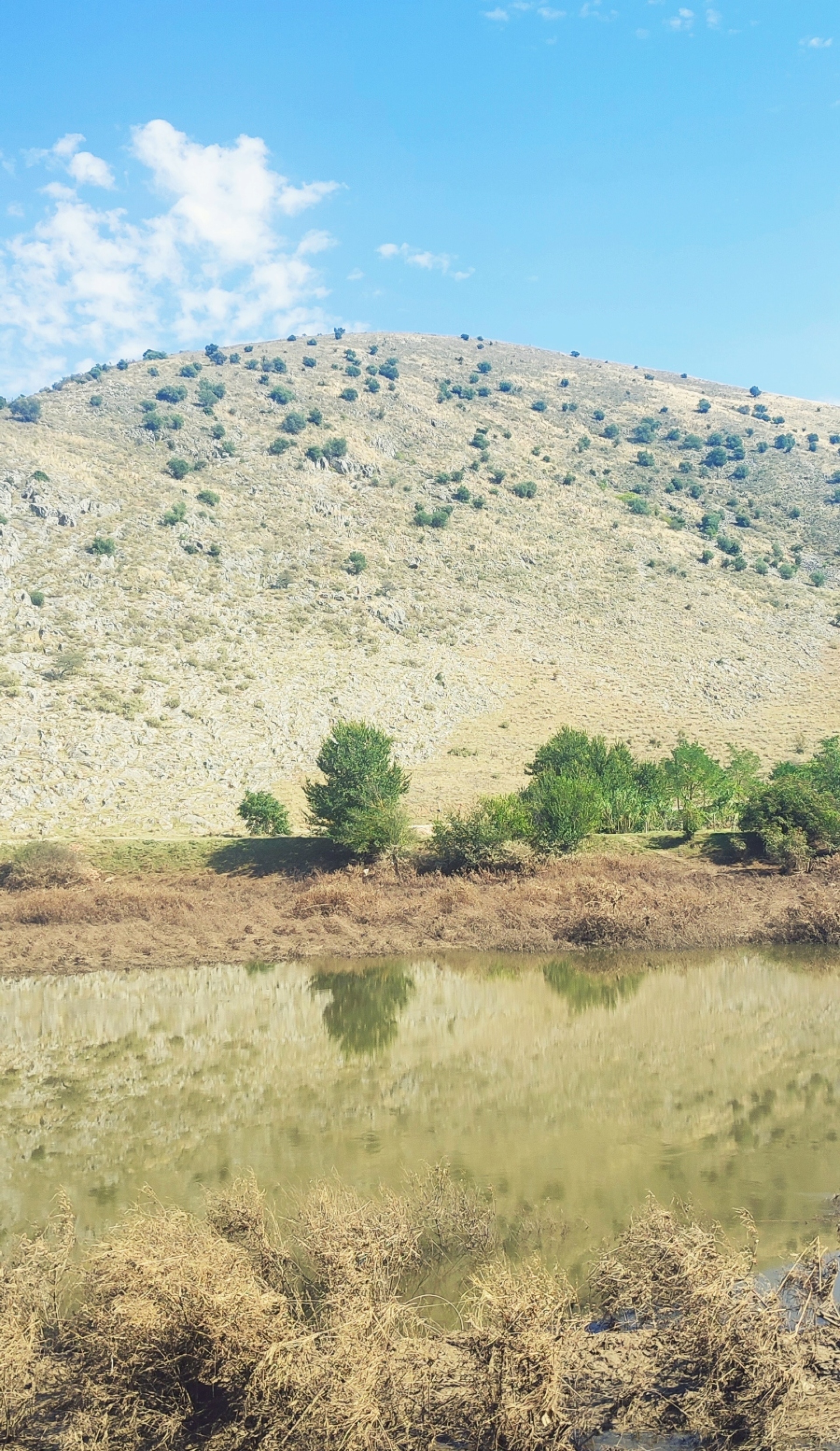 Οδοιπορικό στον Θεσσαλικό Κάμπο και στα πλημμυρισμένα χωριά της Καρδίτσας