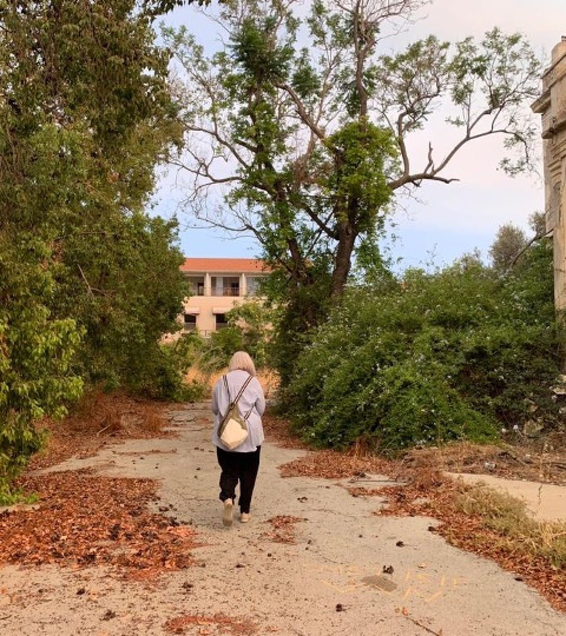 Η Ιστορία της Κύπρου και τα Βαρώσια - Αμμόχωστος, της Ντροπής, Βίβιαν Αβρααμίδου - Πλουμπή