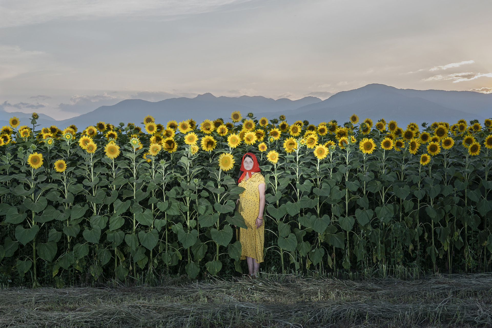 Η πίσω αυλή (2018-2023) Βίκη Γεωργίου, MOMus-Μουσείο Σύγχρονης Τέχνης,19.10.2023-11.02.2024