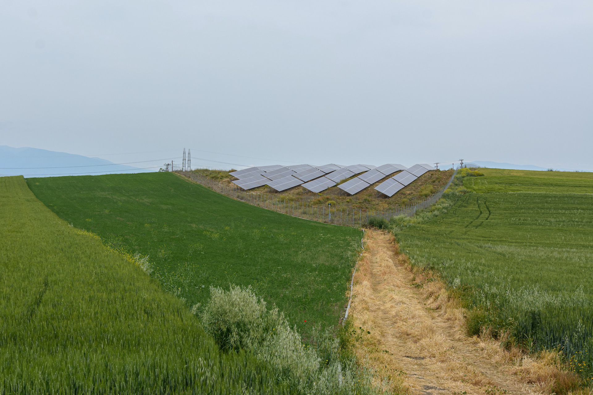 Βασίλης Νεμπεγλεριώτης, Περιοχή Κοιλάδας, 2021, από τη σειρά Ο Κάμπος Έκθεση Ιστορίες του κάμπου Βασίλης Νεμπεγλεριώτης  Γκαλερί Toss / 13.10-10.11.2023
