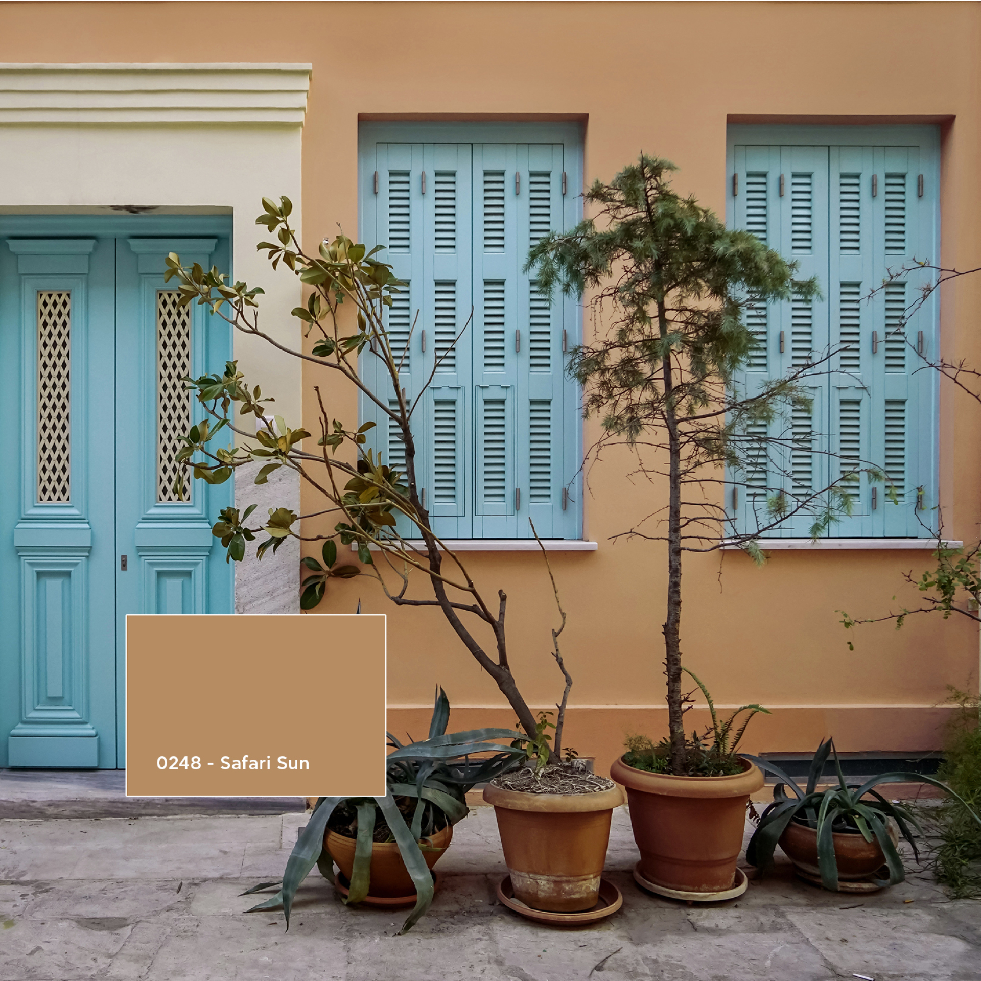 Safari Sun: Χρώμα της Χρονιάς από την Vitex για το 2024