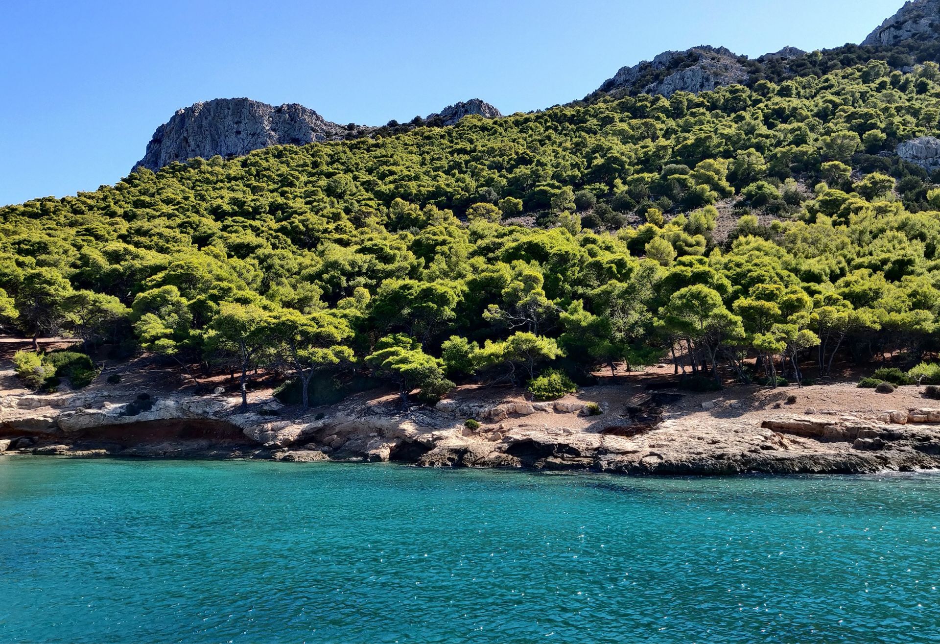 Παραλία με πράσινο και καθαρά νερά στο Αγκίστρι 