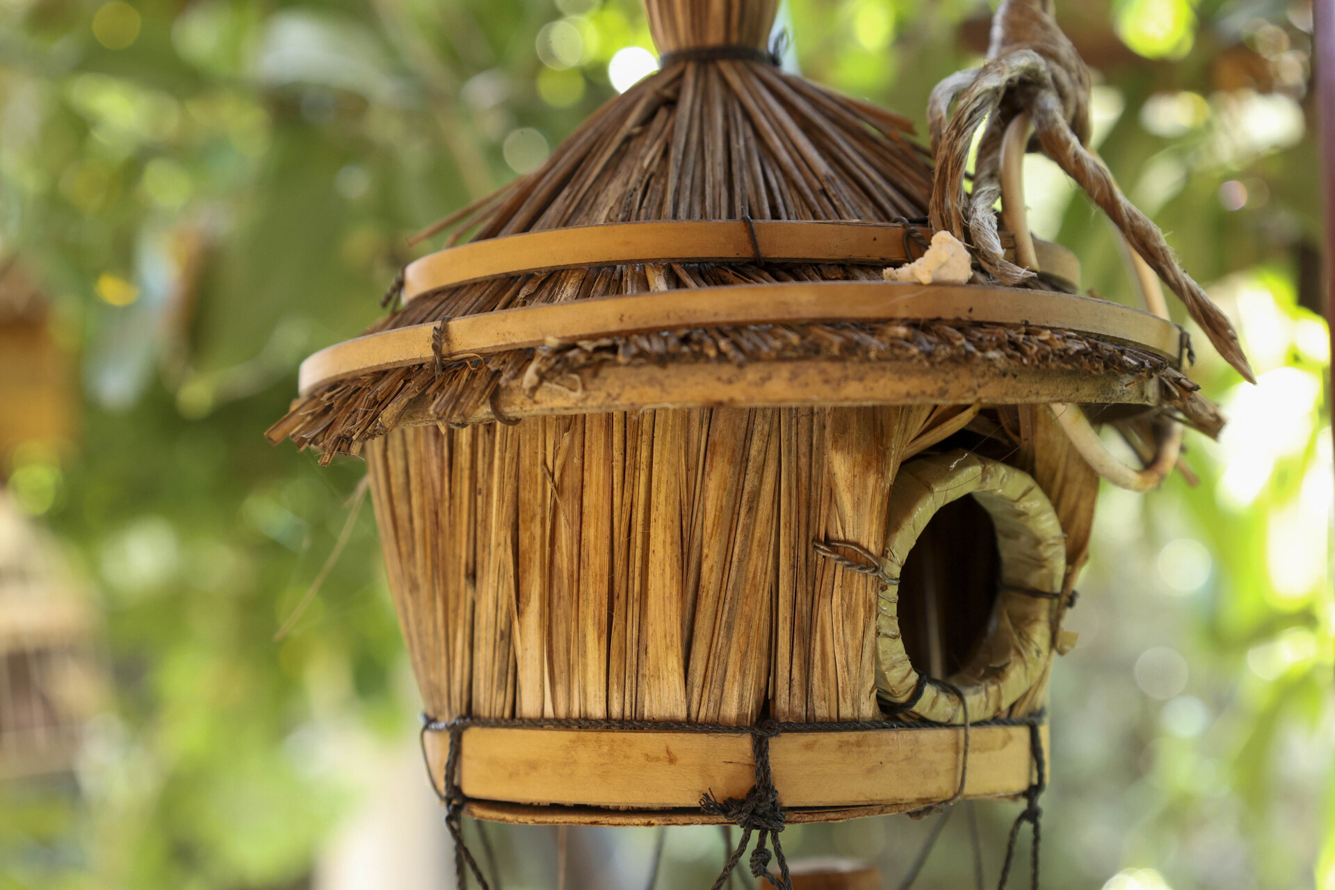 Κήπος στη Νέα Σμύρνη