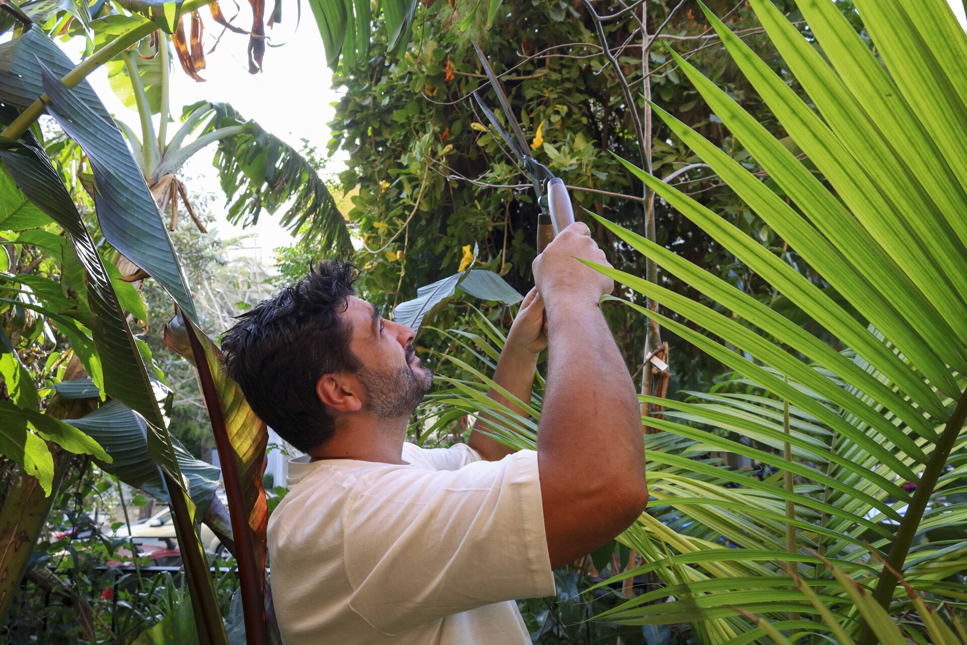 Βαγγέλης Τσιλικίδης