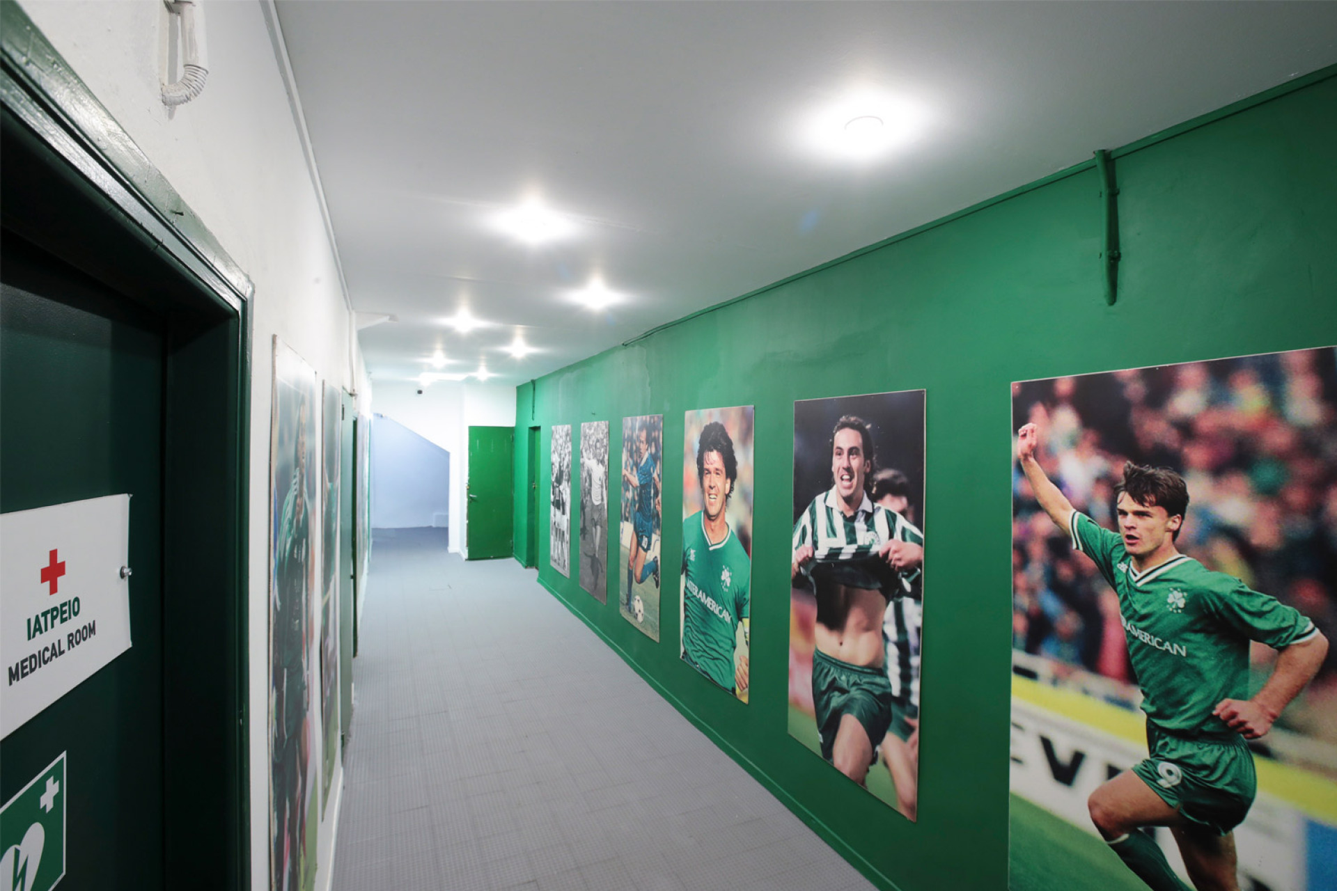 Γήπεδο Παναθηναϊκού, «Απόστολος Νικολαΐδης»