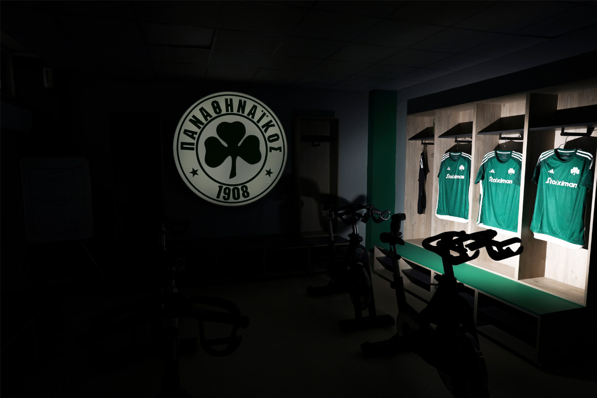 Γήπεδο Παναθηναϊκού, «Απόστολος Νικολαΐδης»