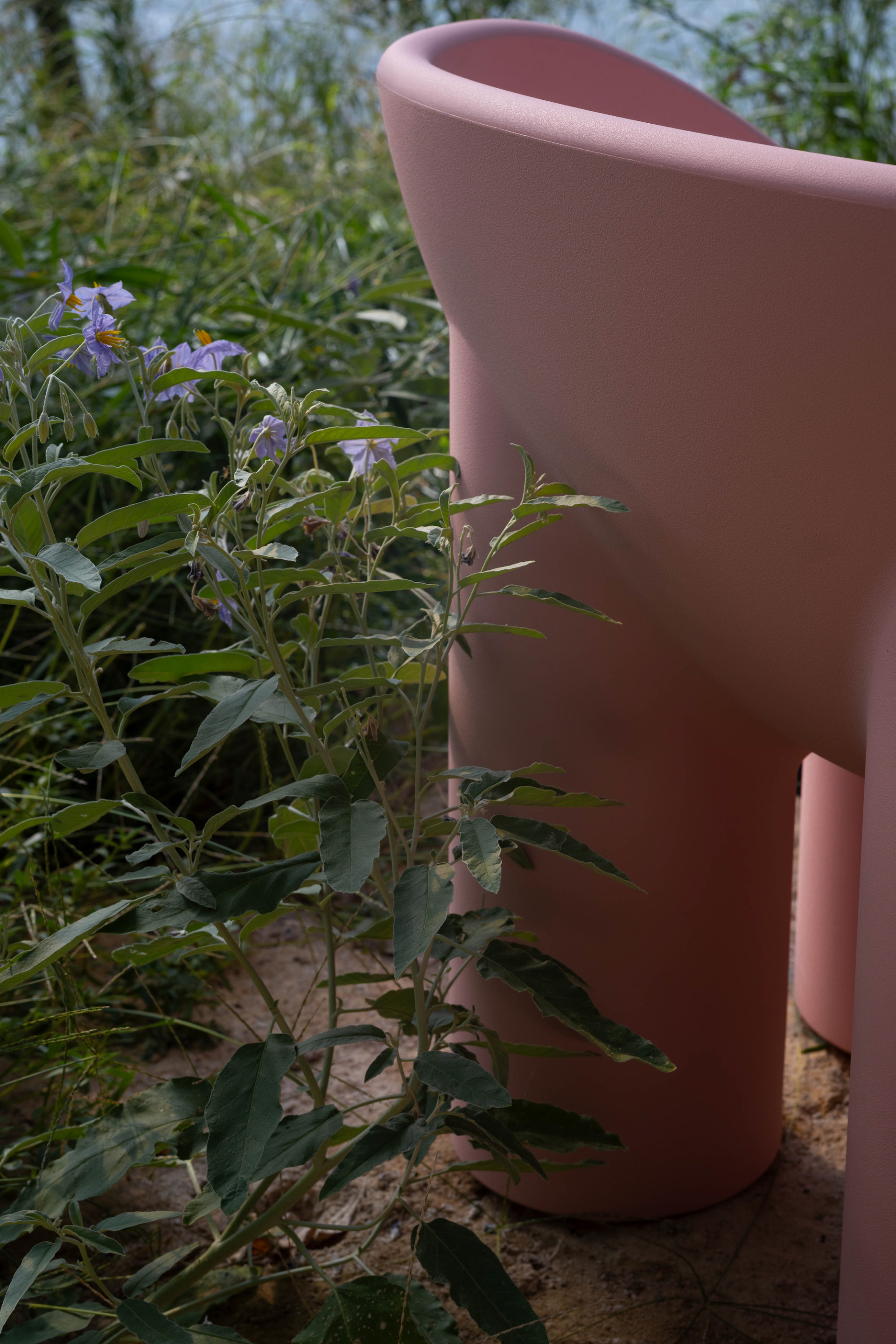 Η Αλεξάνδρα Ευσταθιάδου έφτιαξε μια όαση στην καρδιά της χαλκιδικιώτικης ερήμου