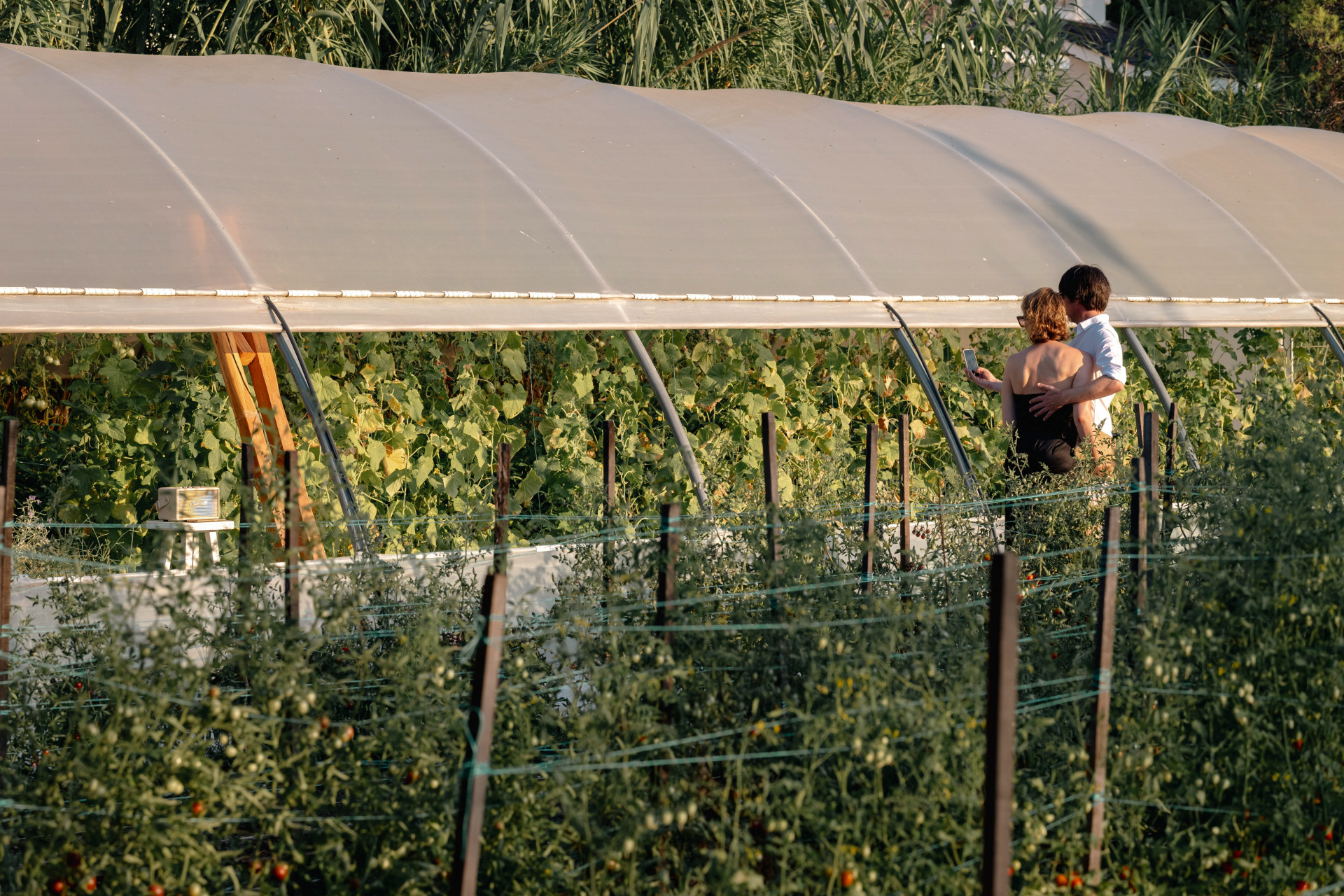 Η Αλεξάνδρα Ευσταθιάδου έφτιαξε μια όαση στην καρδιά της χαλκιδικιώτικης ερήμου