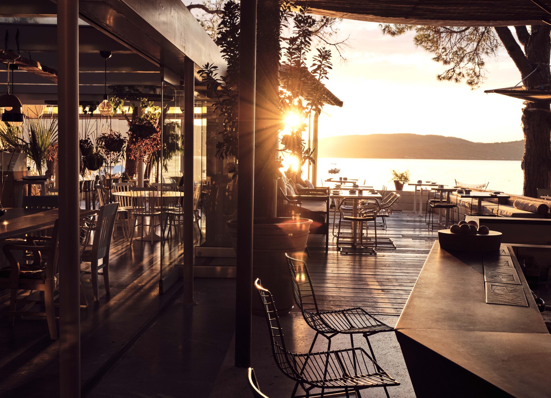 Η Αλεξάνδρα Ευσταθιάδου έφτιαξε μια όαση στην καρδιά της χαλκιδικιώτικης ερήμου