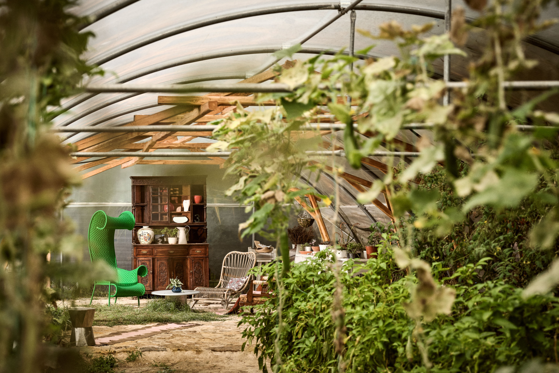 Η Αλεξάνδρα Ευσταθιάδου έφτιαξε μια όαση στην καρδιά της χαλκιδικιώτικης ερήμου