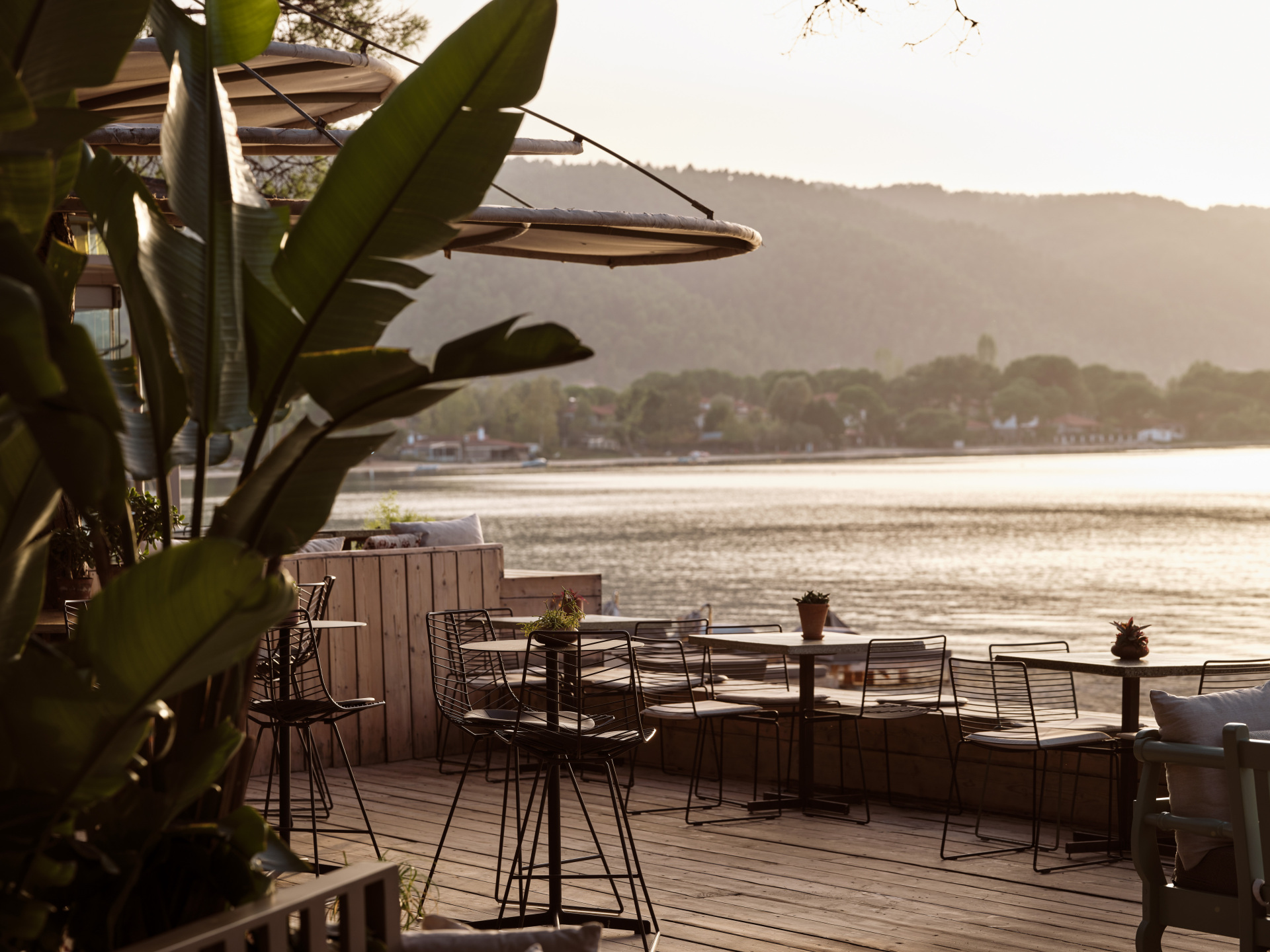 Η Αλεξάνδρα Ευσταθιάδου έφτιαξε μια όαση στην καρδιά της χαλκιδικιώτικης ερήμου