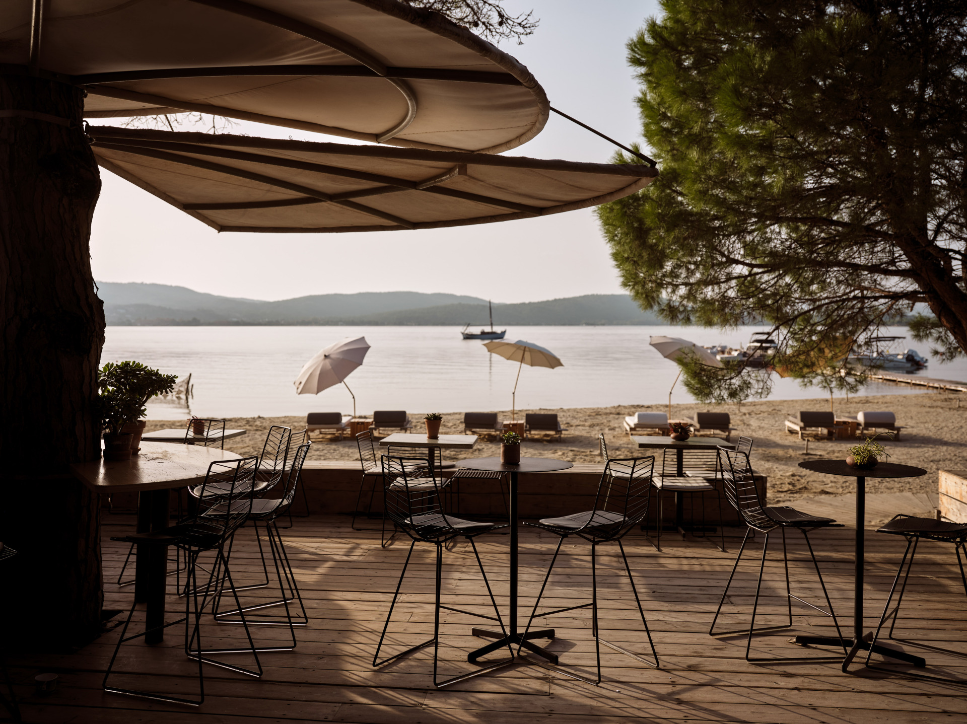 Η Αλεξάνδρα Ευσταθιάδου έφτιαξε μια όαση στην καρδιά της χαλκιδικιώτικης ερήμου