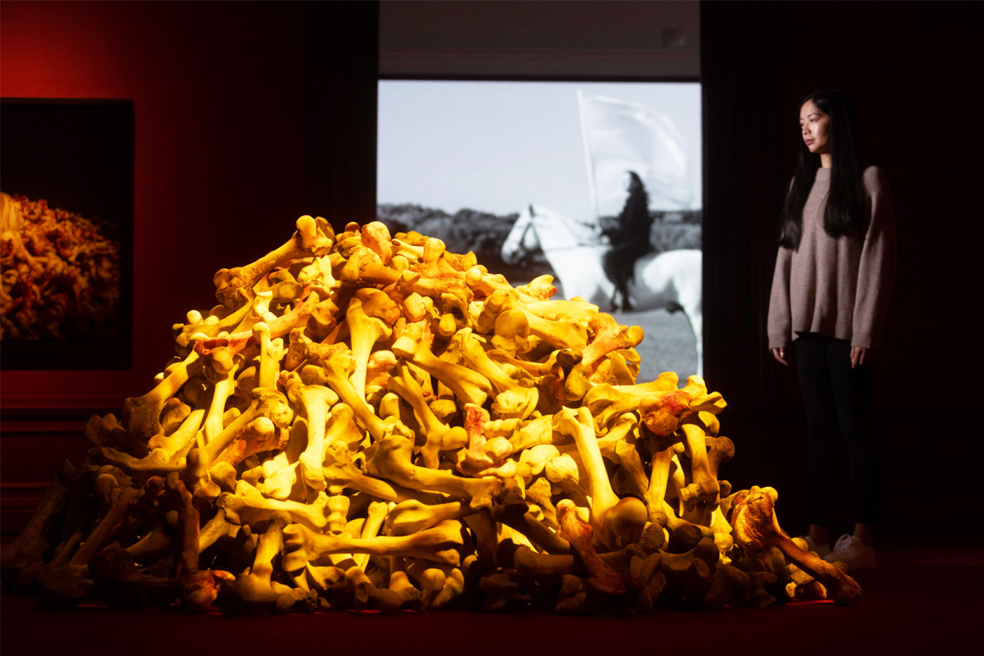 Μαρίνα Αμπράμοβιτς