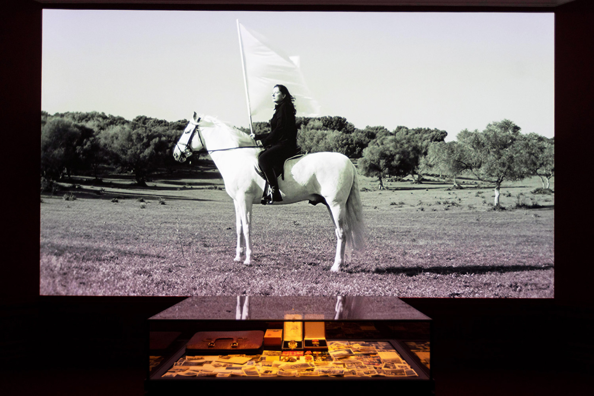 Μαρίνα Αμπράμοβιτς