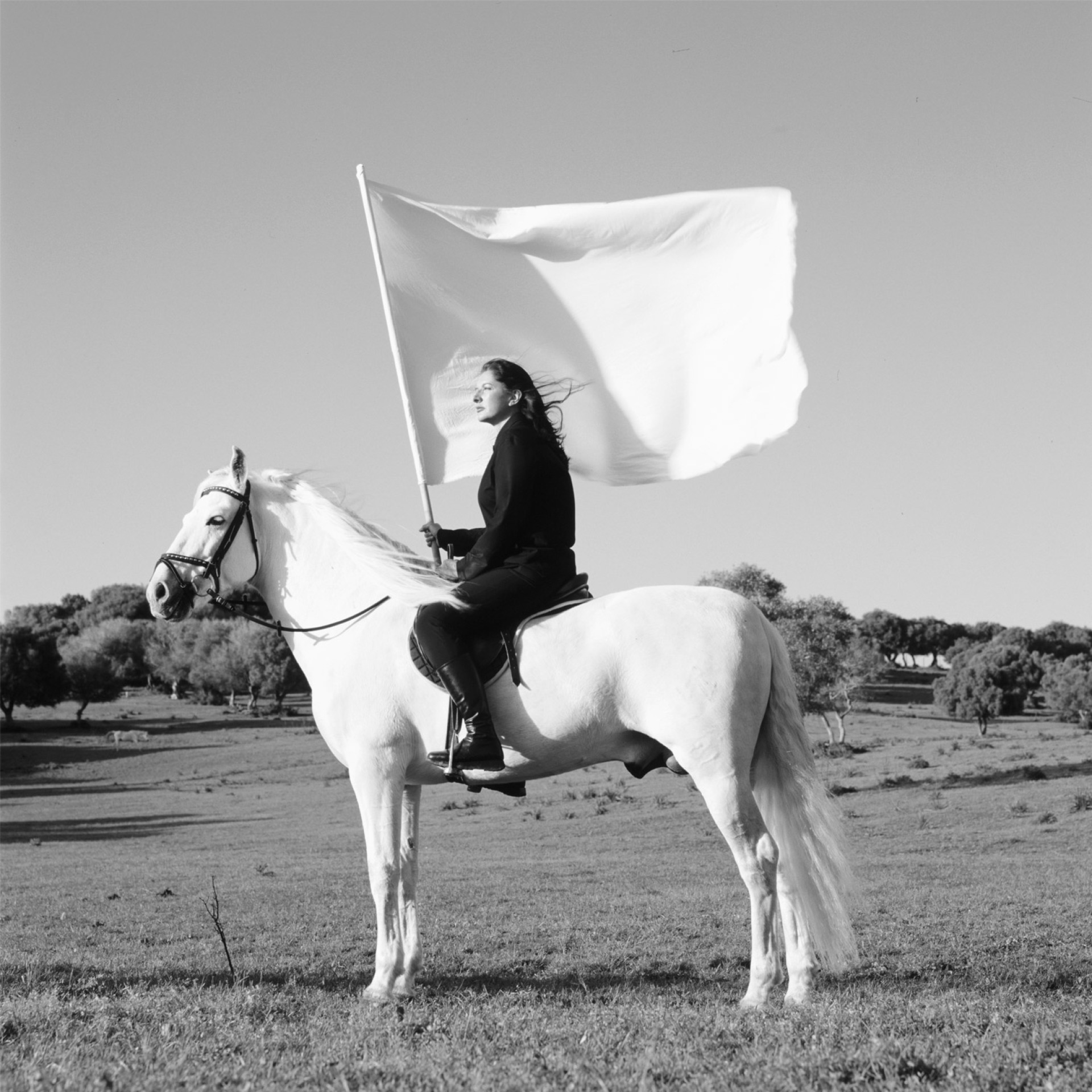 Μαρίνα Αμπράμοβιτς